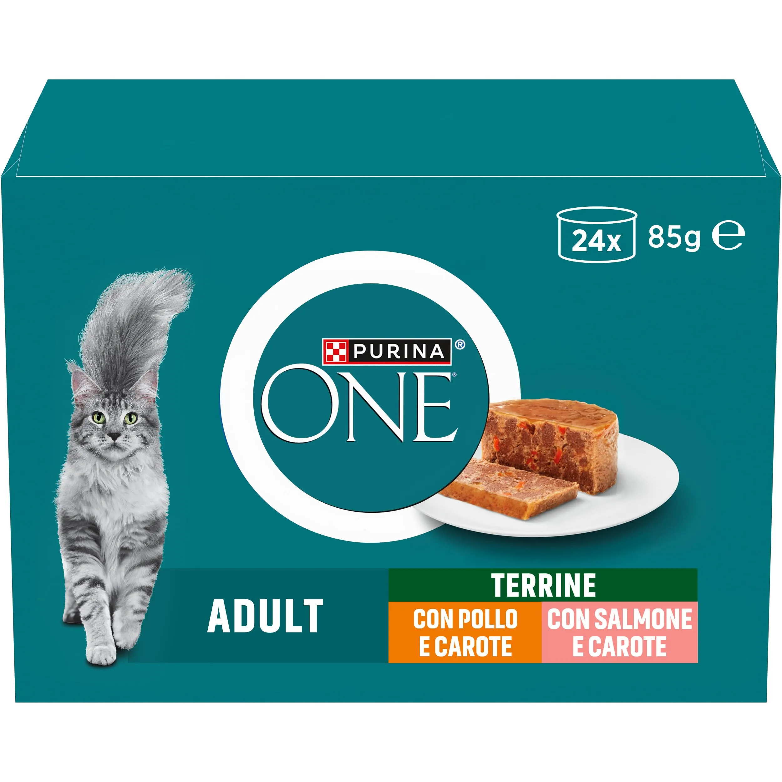 Purina ONE Adult Pollo e Carote, Salmone e Carote 24x85g - immagine 1