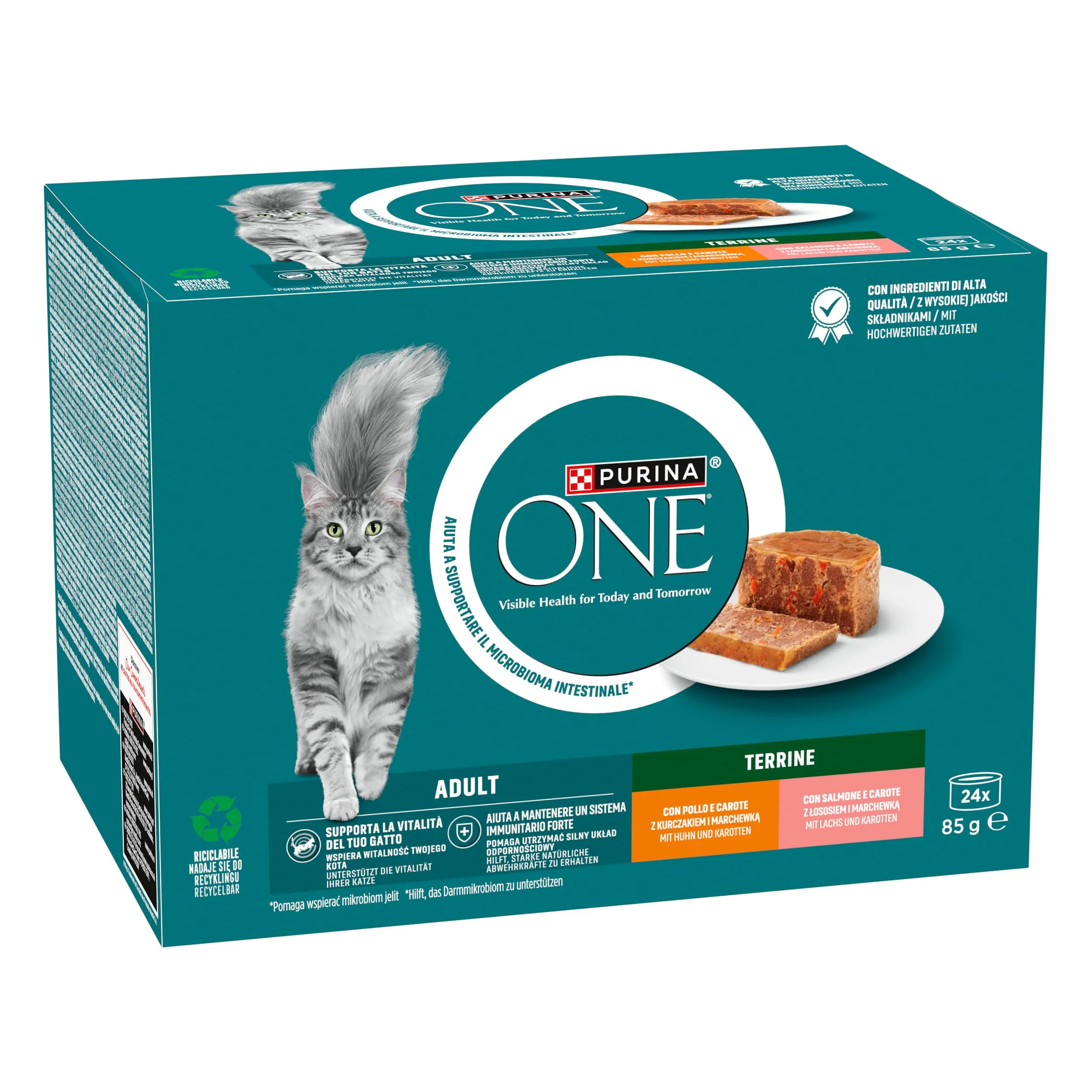 Purina ONE Adult Pollo e Carote, Salmone e Carote 24x85g - immagine 2
