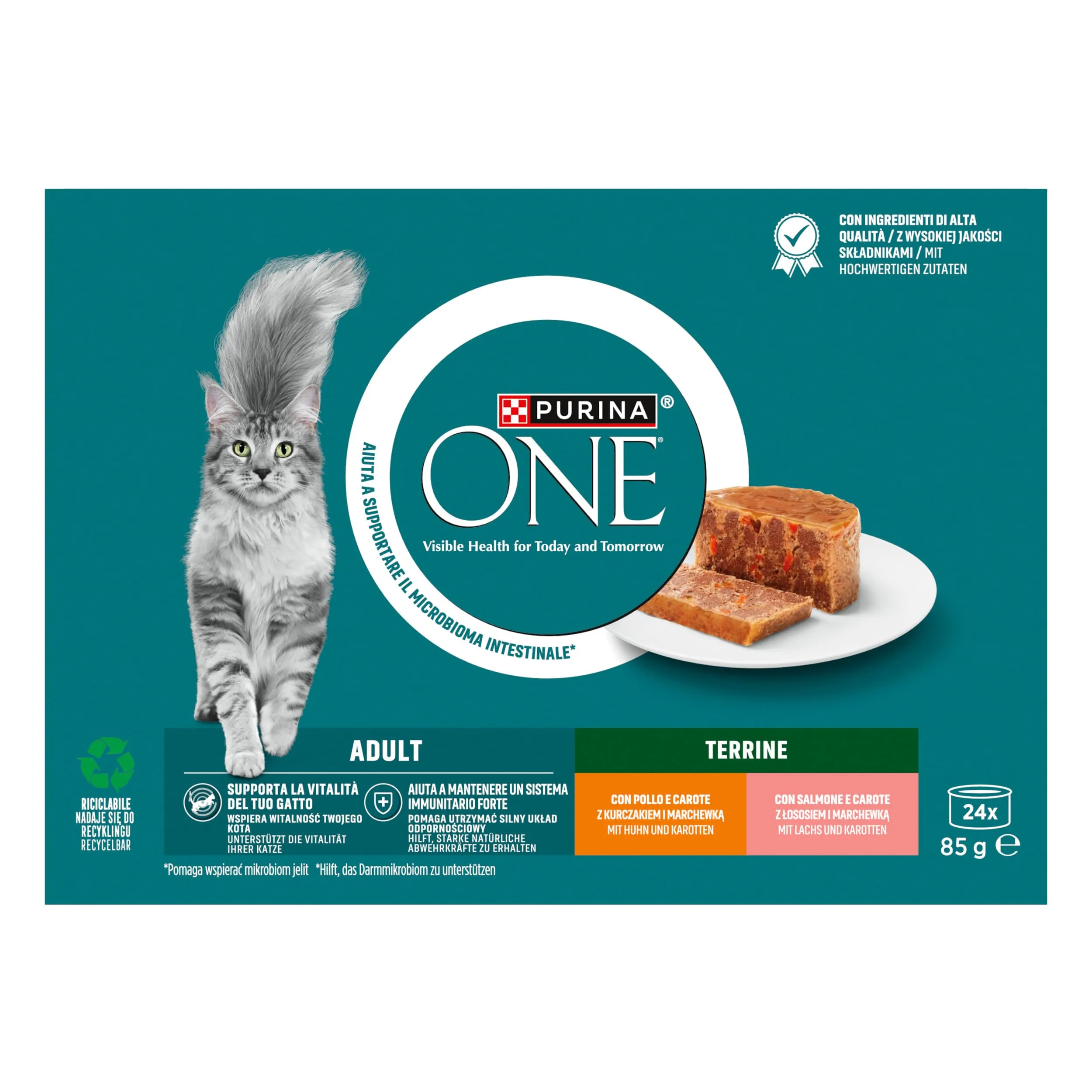 Purina ONE Adult Pollo e Carote, Salmone e Carote 24x85g - immagine 3