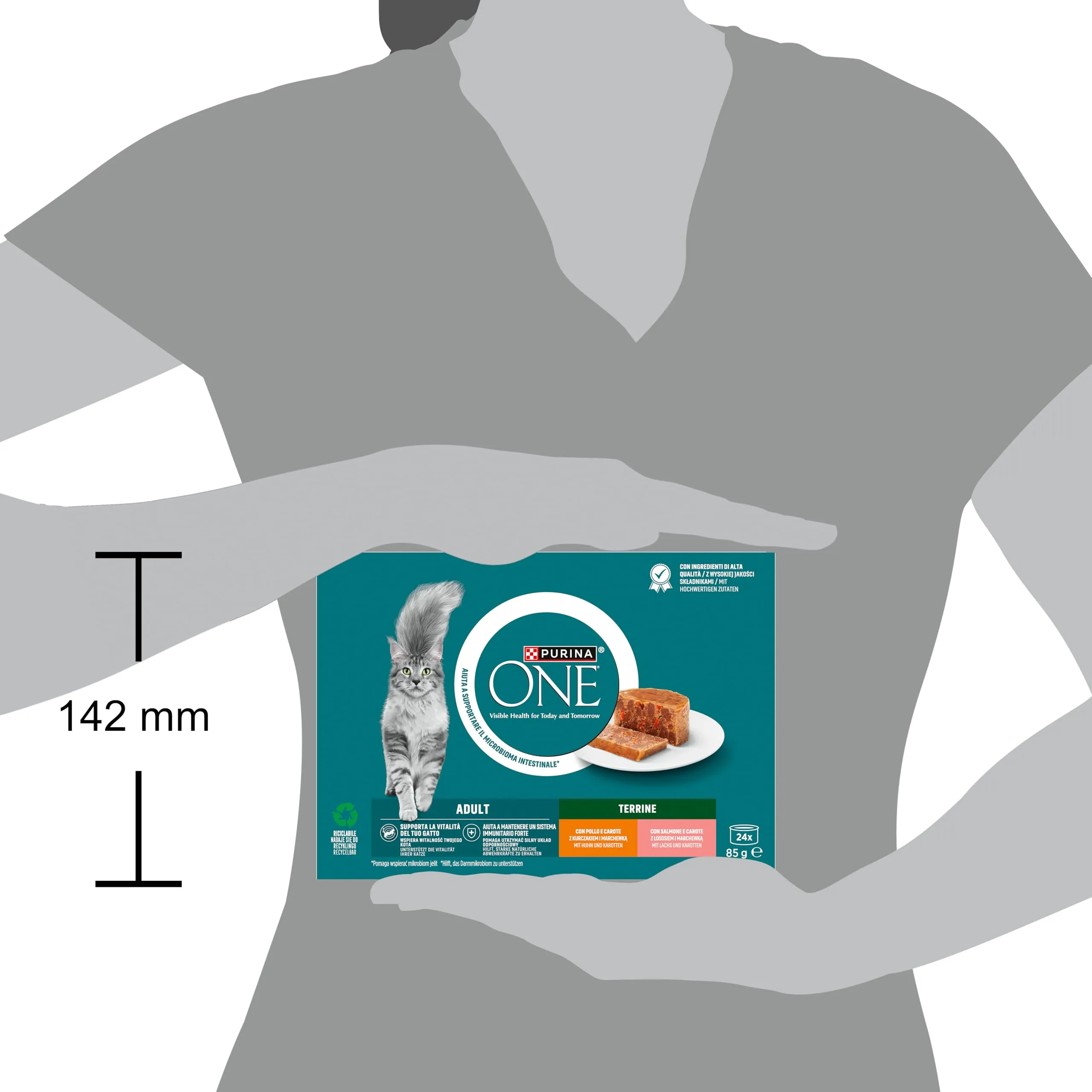 Purina ONE Adult Pollo e Carote, Salmone e Carote 24x85g - immagine 4