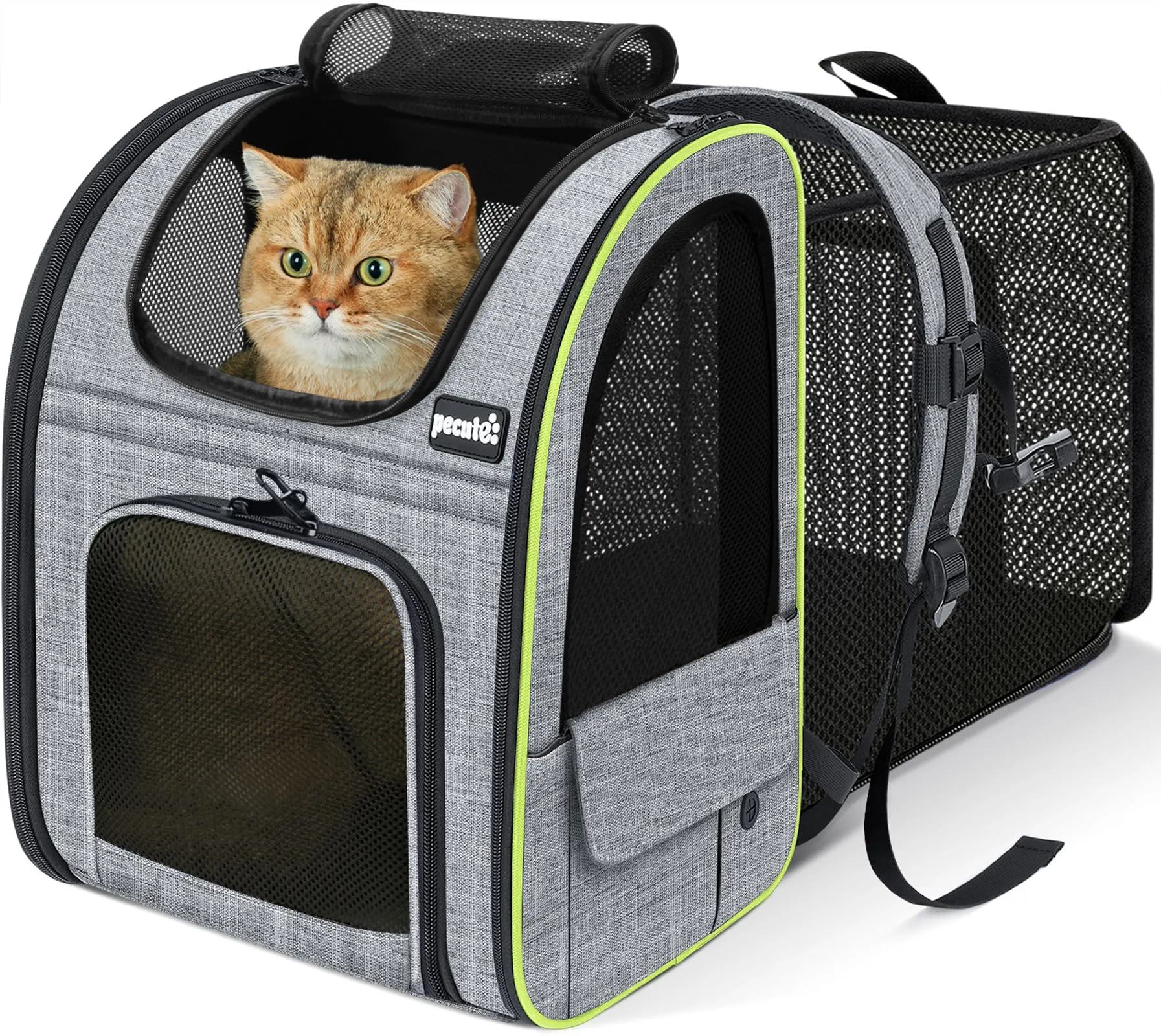 Pecute Zaino Trasportino Estensibile per Cani e Gatti, Grigio - immagine 1