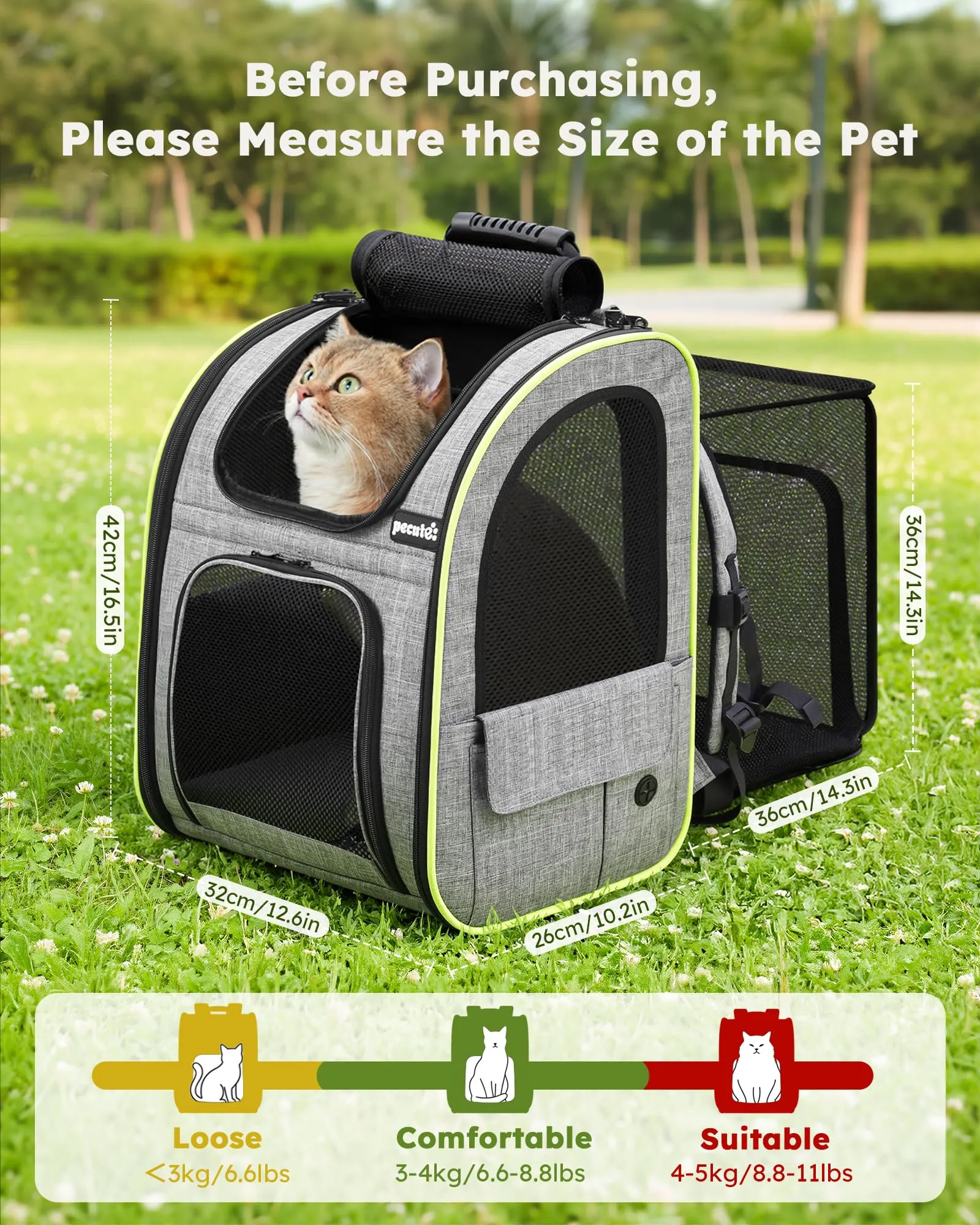 Pecute Zaino Trasportino Estensibile per Cani e Gatti, Grigio - immagine 2