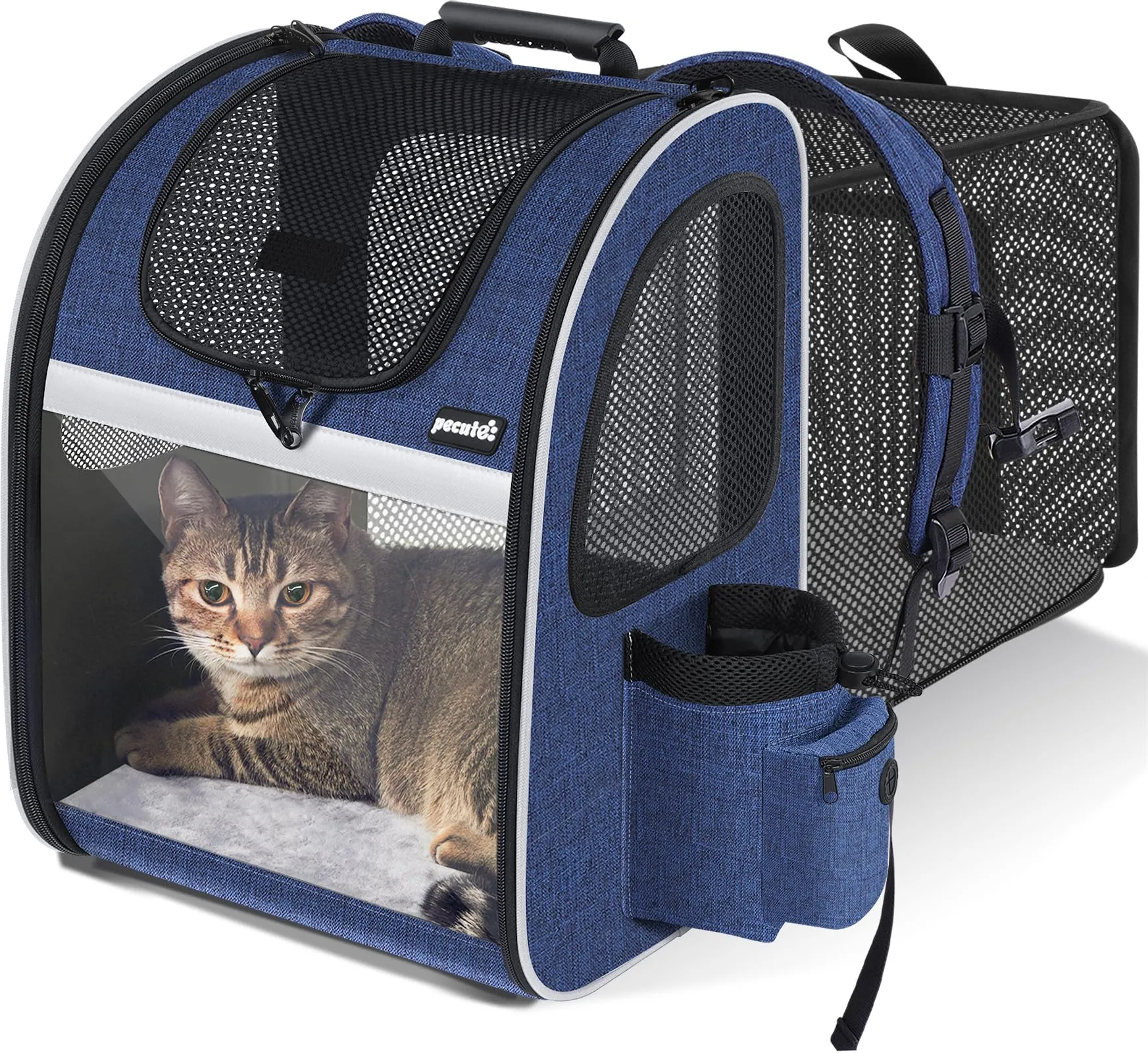Pecute Zaino Porta Animali Estensibile per Cani di Piccola Taglia e Gatti, Trasportino Portatile PC-PCB16 - immagine 1