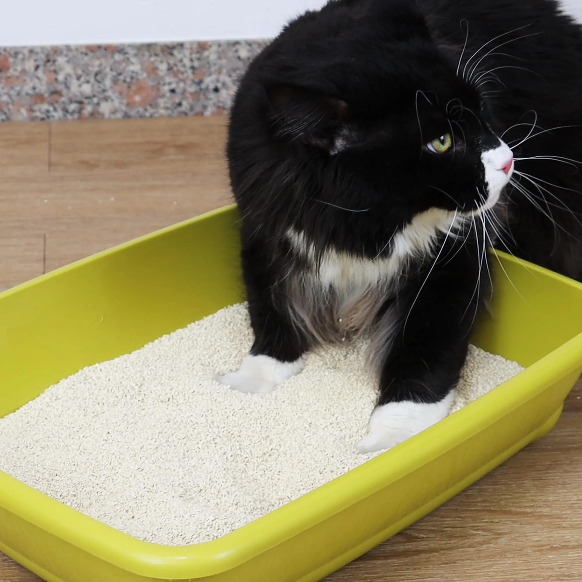 Croci Lettiera Tofu Clean 10L Sabbia - immagine 7