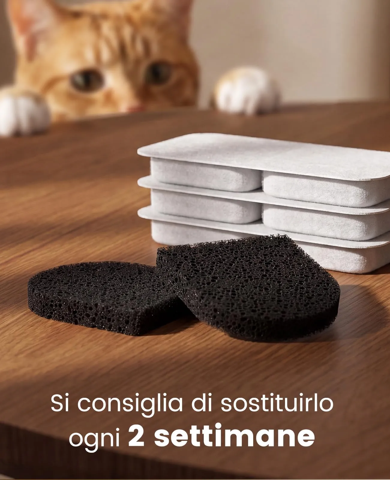 oneisall Filtri di ricambio per fontana per gatti PW14, Confezione da 8 - immagine 5