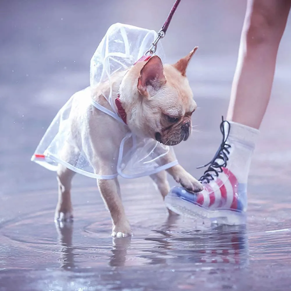 KoKoBin Poncho Impermeabile Catarifrangente per Cani e Gatti in PVC Trasparente con Cappuccio, Bianca, L - immagine 5