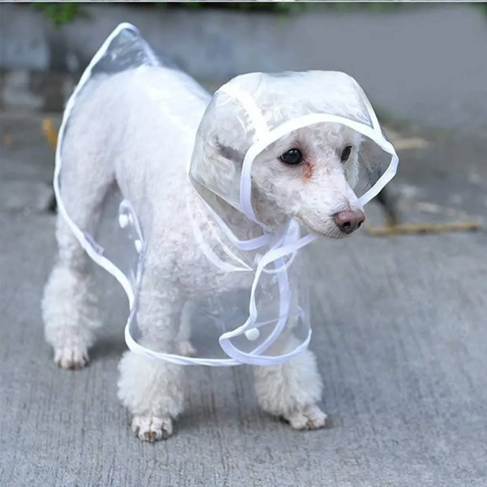 KoKoBin Poncho Impermeabile per Cani e Gatti in PVC Trasparente con Cappuccio, Bianca, S - immagine 2