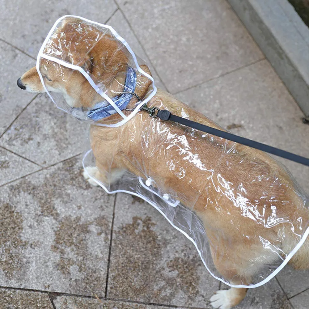 KoKoBin Poncho Impermeabile per Cani e Gatti in PVC Trasparente con Cappuccio, Bianca, S - immagine 3