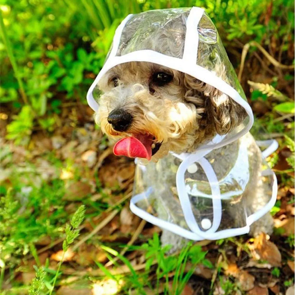 KoKoBin Poncho Impermeabile per Cani e Gatti in PVC Trasparente con Cappuccio, Bianca, S - immagine 7