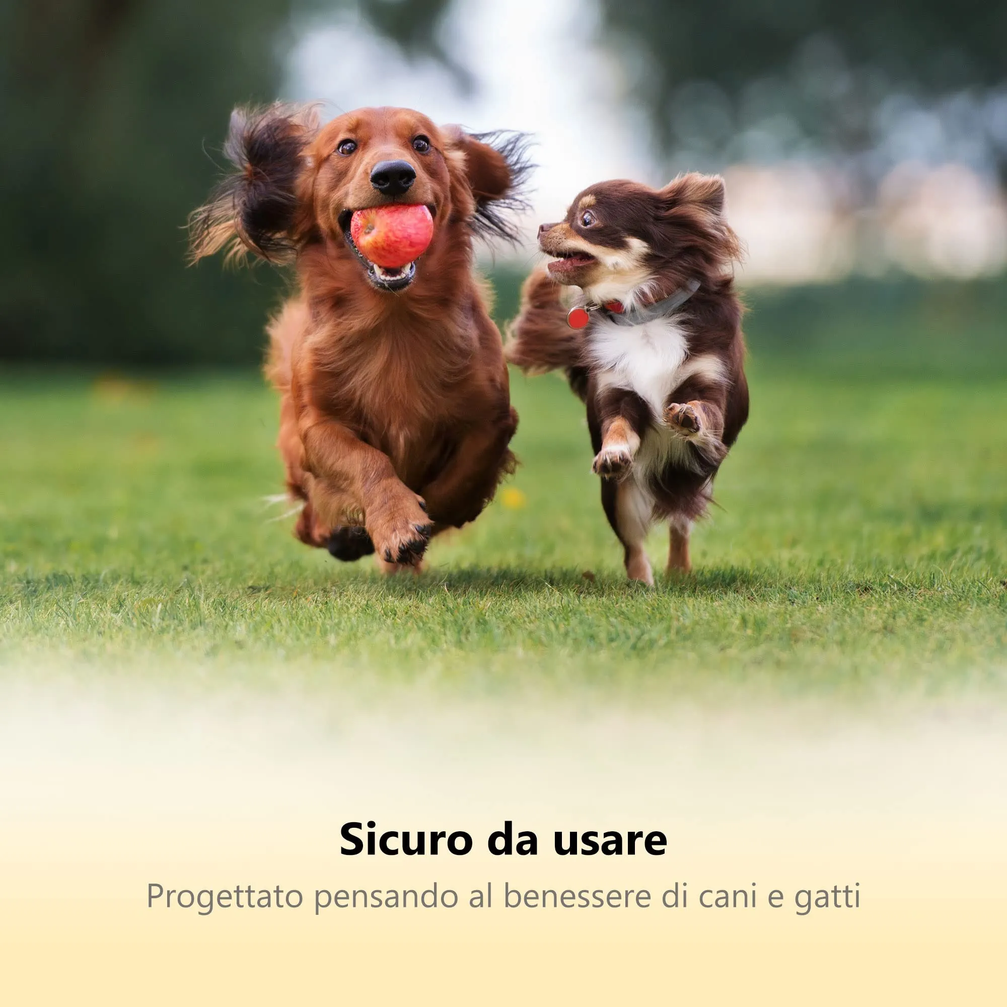 Thunderpaws Tagliaunghie per Cani con Blocco di Protezione, Serratura di Sicurezza e Lima per Unghie - immagine 6