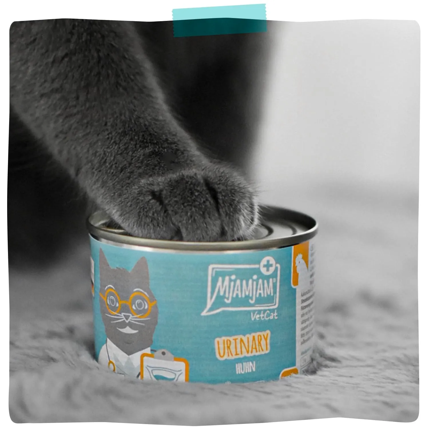 MjAMjAM VetCat Diet Urinary Pollo, senza cereali, 6 x 200 g - immagine 6