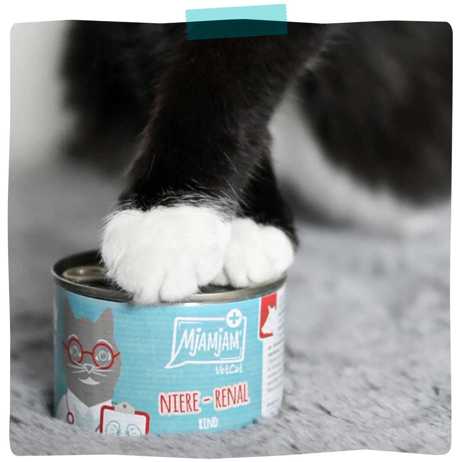 MjAMjAM VetCat Kidney Renal Pollo, senza cereali, 6 x 200 g - immagine 6