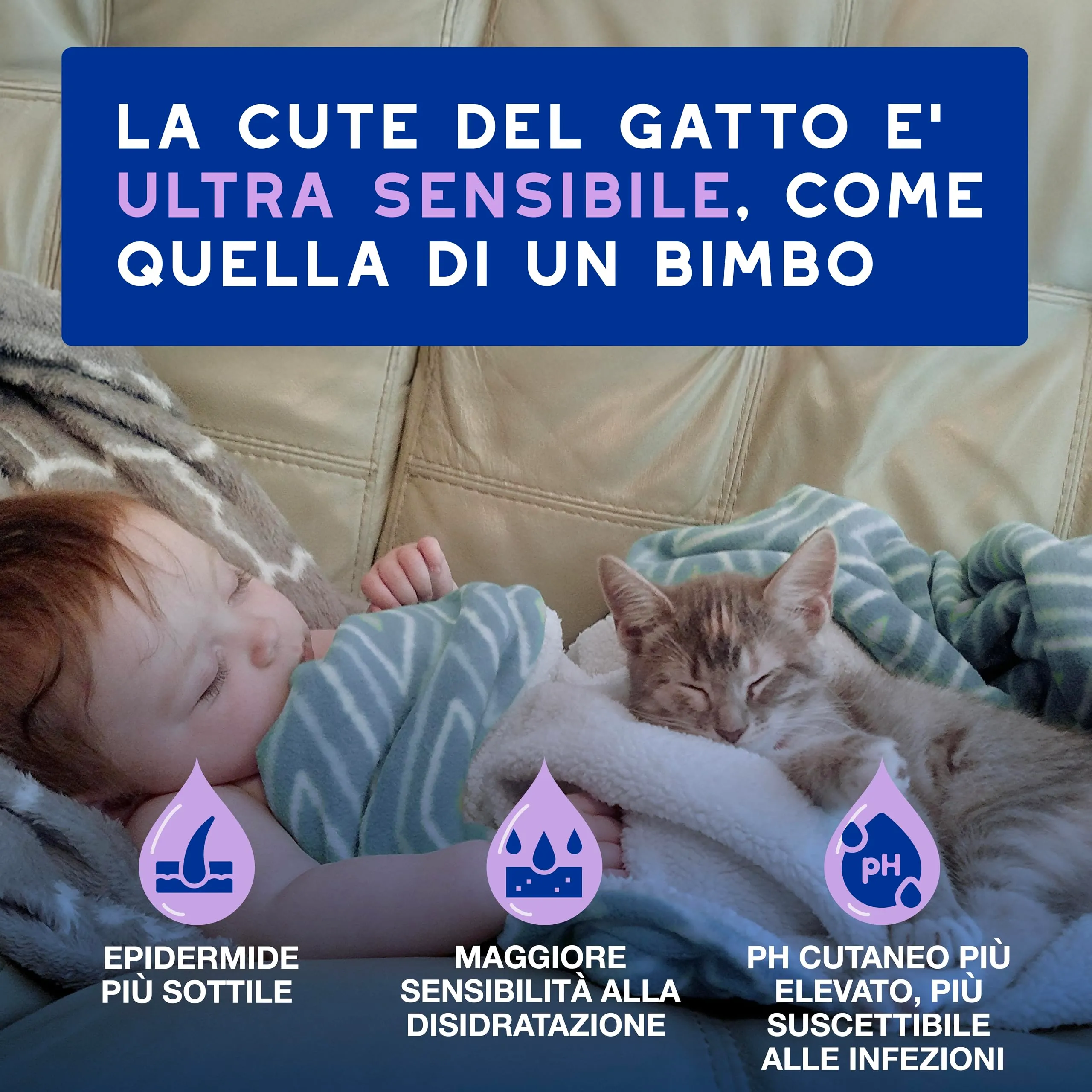 DOUXO Skin & Coat SPA Mousse Detergente Senza Risciacquo per Gatti, 150ml - immagine 3
