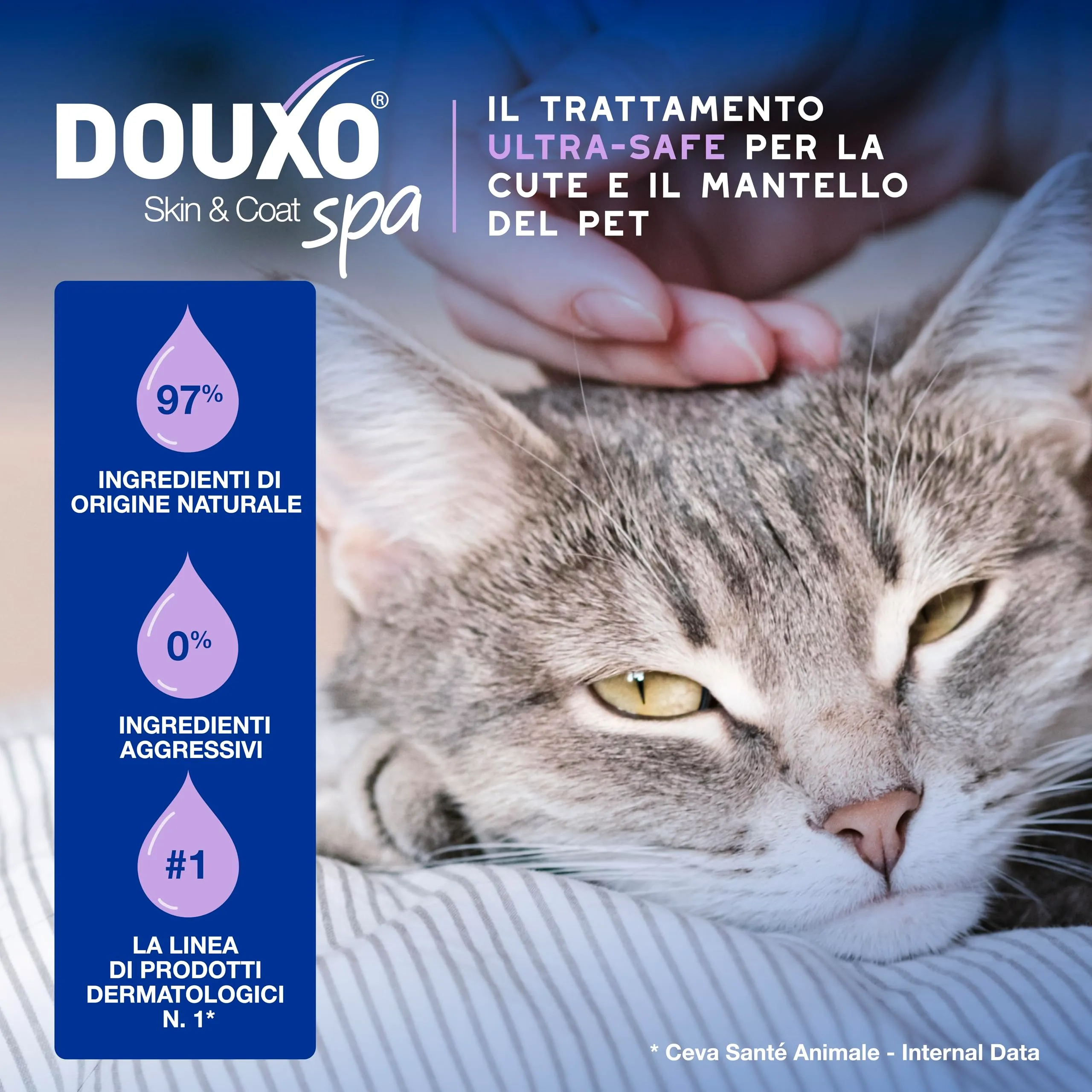DOUXO Skin & Coat SPA Mousse Detergente Senza Risciacquo per Gatti, 150ml - immagine 4