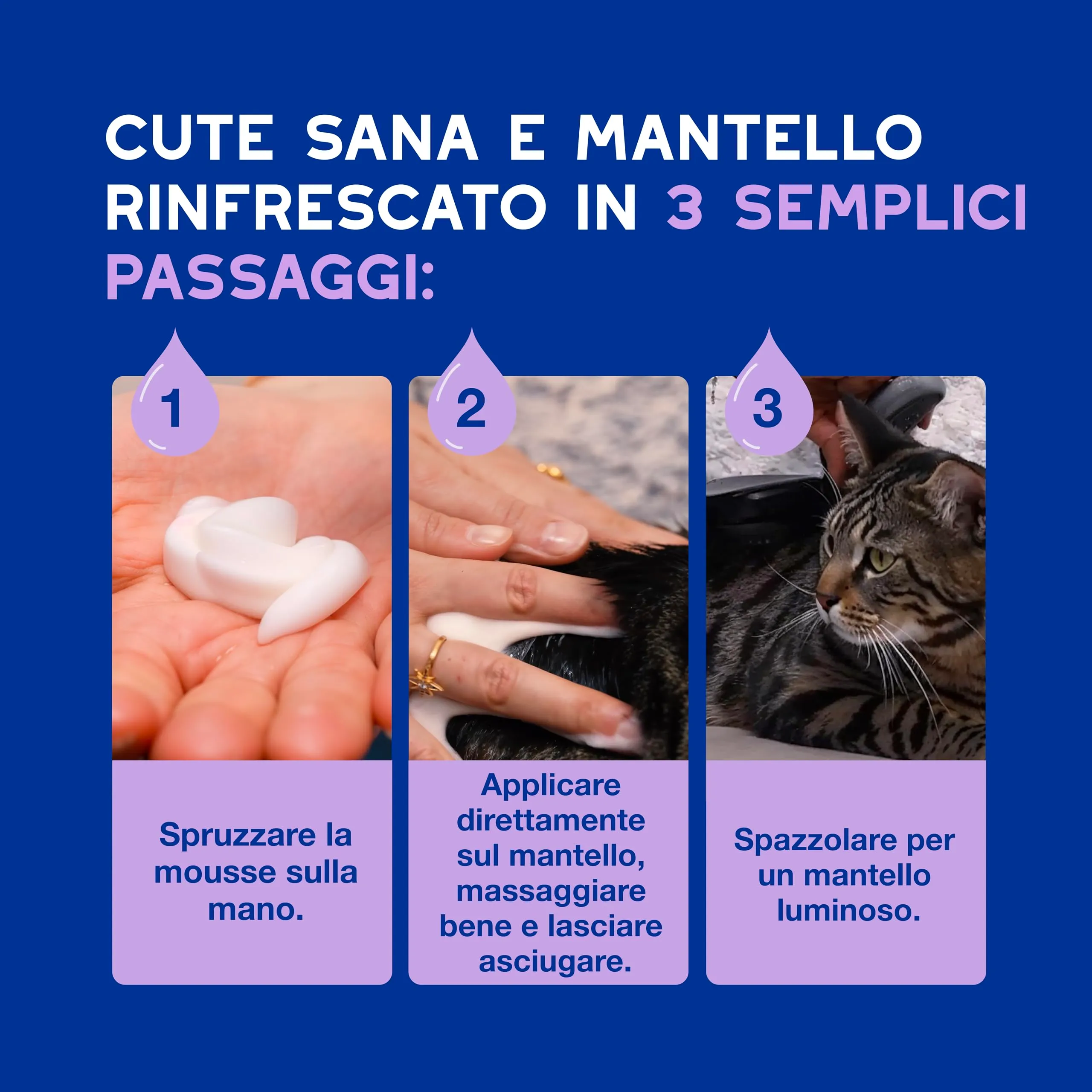 DOUXO Skin & Coat SPA Mousse Detergente Senza Risciacquo per Gatti, 150ml - immagine 6