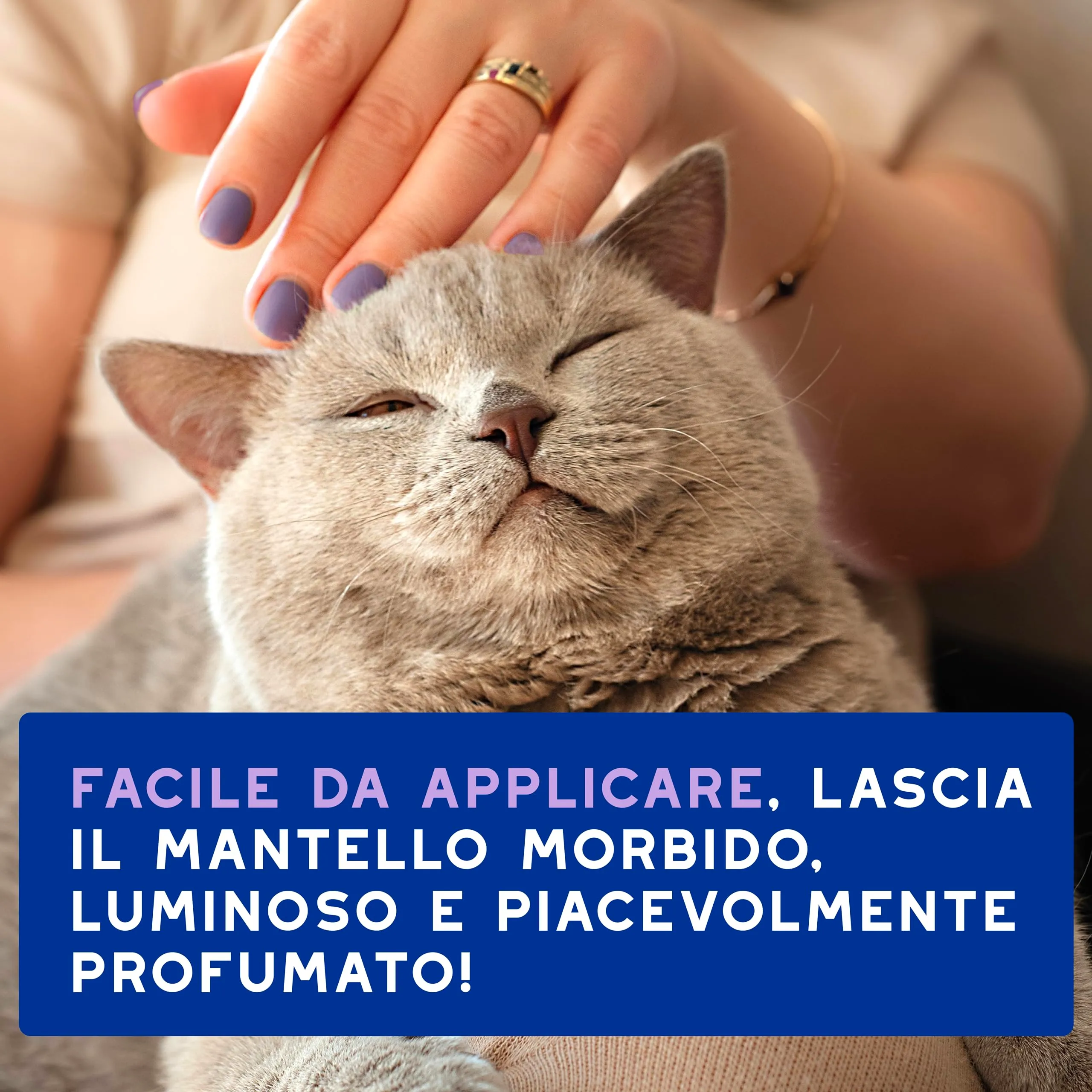 DOUXO Skin & Coat SPA Mousse Detergente Senza Risciacquo per Gatti, 150ml - immagine 7