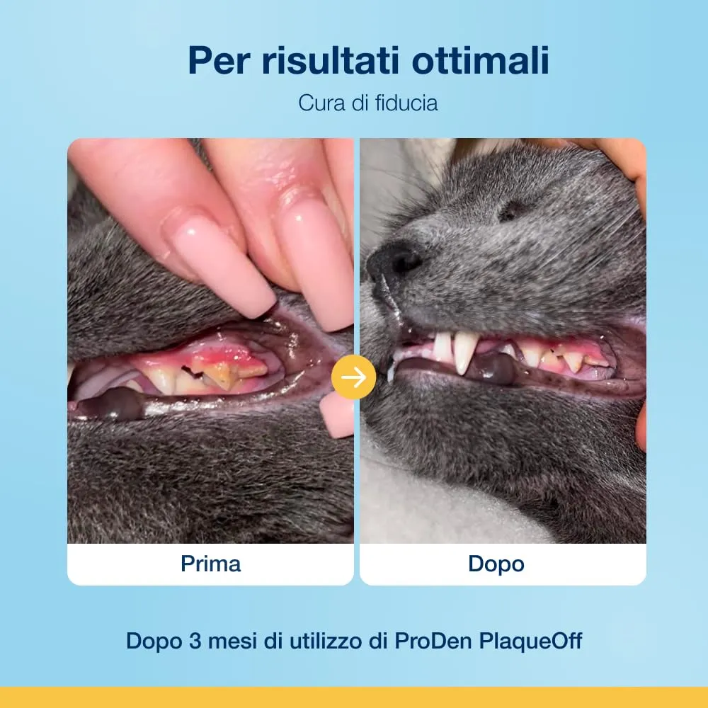 ProDen PlaqueOff Kit Cura Dentale per Gatti - Polvere 40g e 6 Snack Cremosi - immagine 5