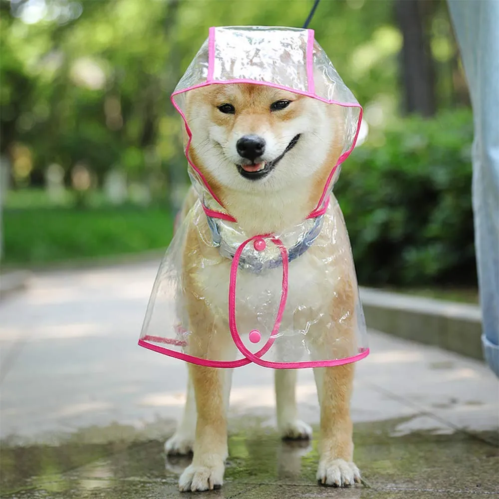 KoKoBin Poncho Impermeabile Trasparente per Cani e Gatti con Cappuccio, Rosso, L - immagine 2
