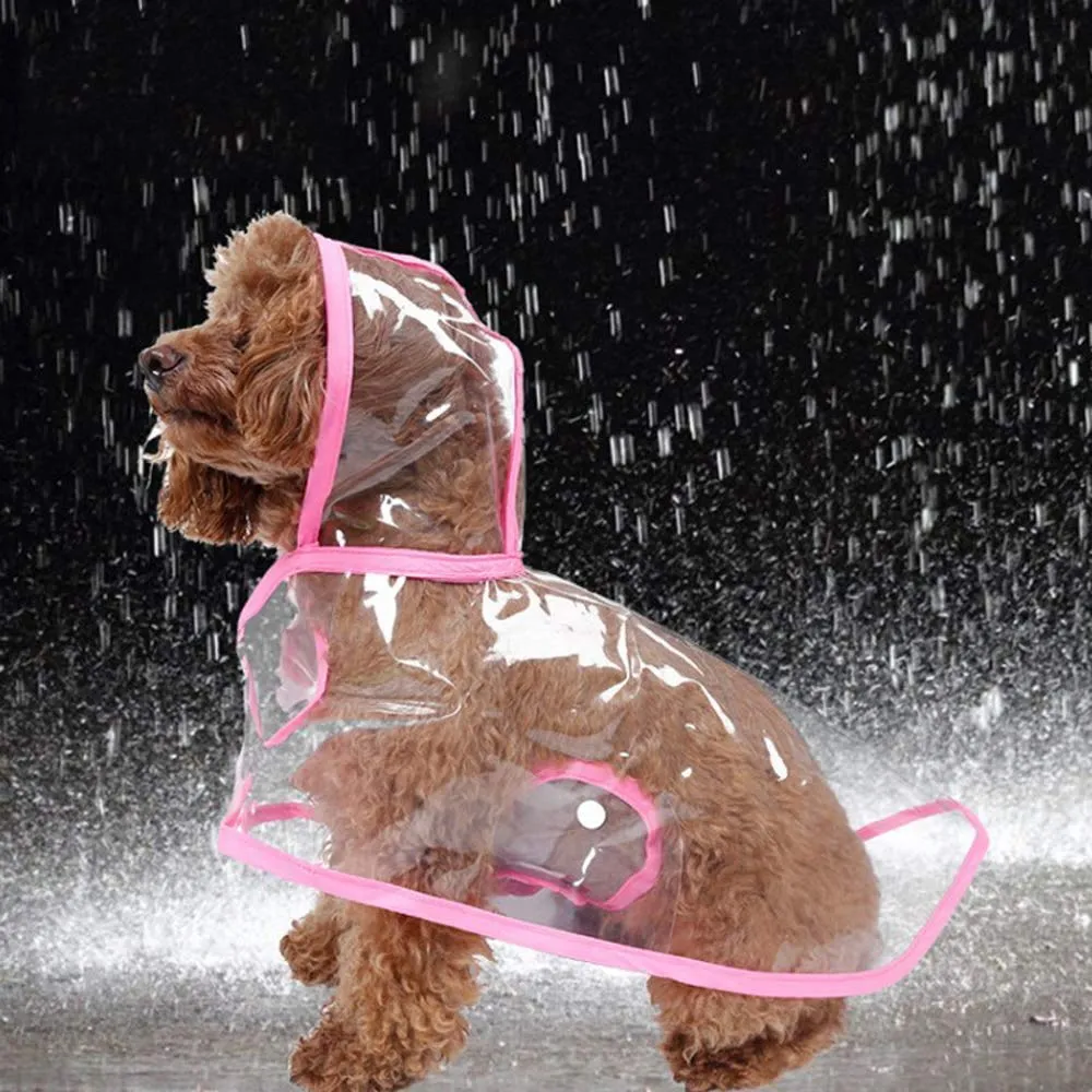 KoKoBin Poncho Impermeabile Trasparente per Cani e Gatti con Cappuccio, Rosso, L - immagine 5
