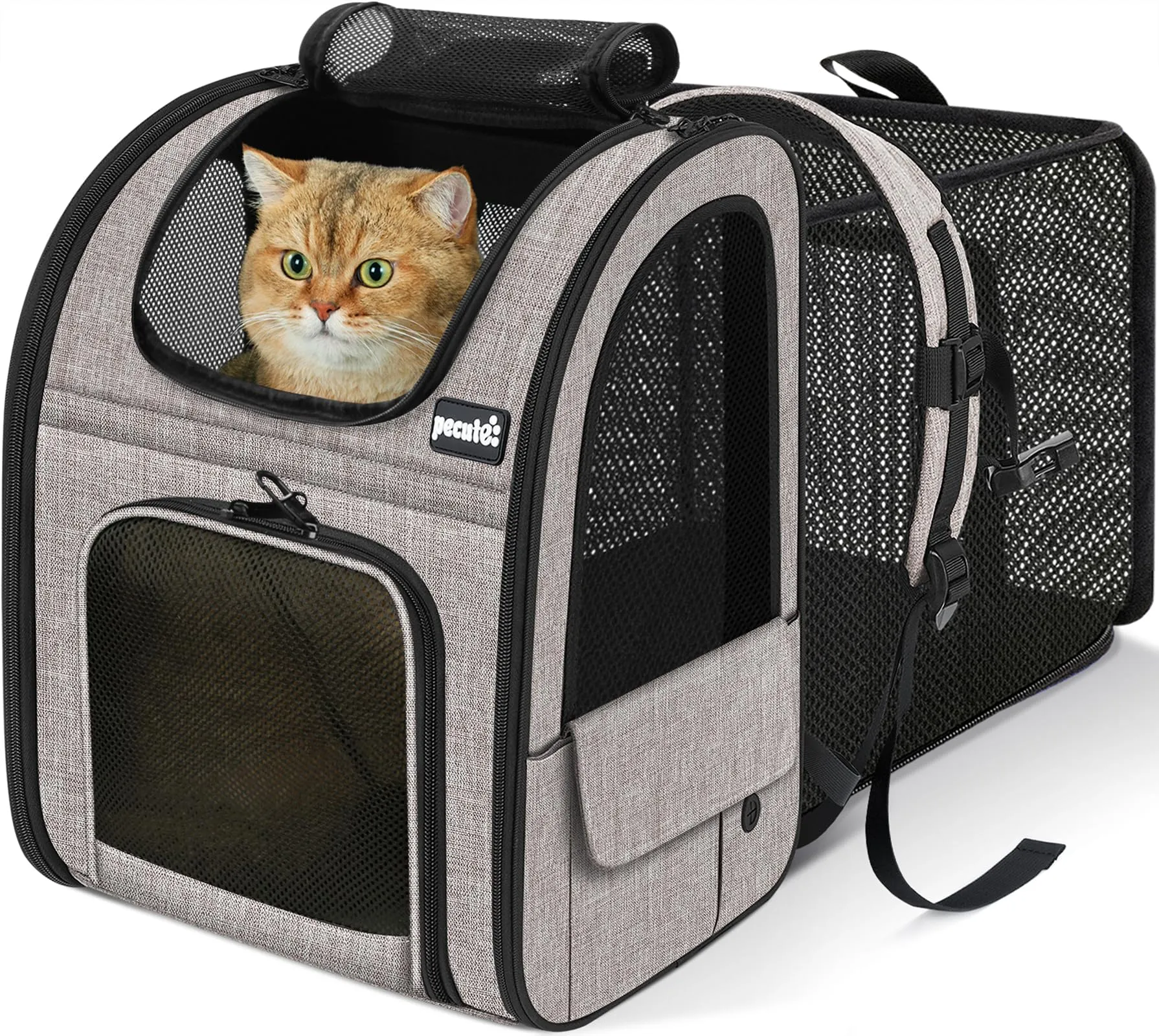 Pecute Zaino Trasportino Estensibile per Cani e Gatti, Cuccia Portatile PSM-04M - immagine 1