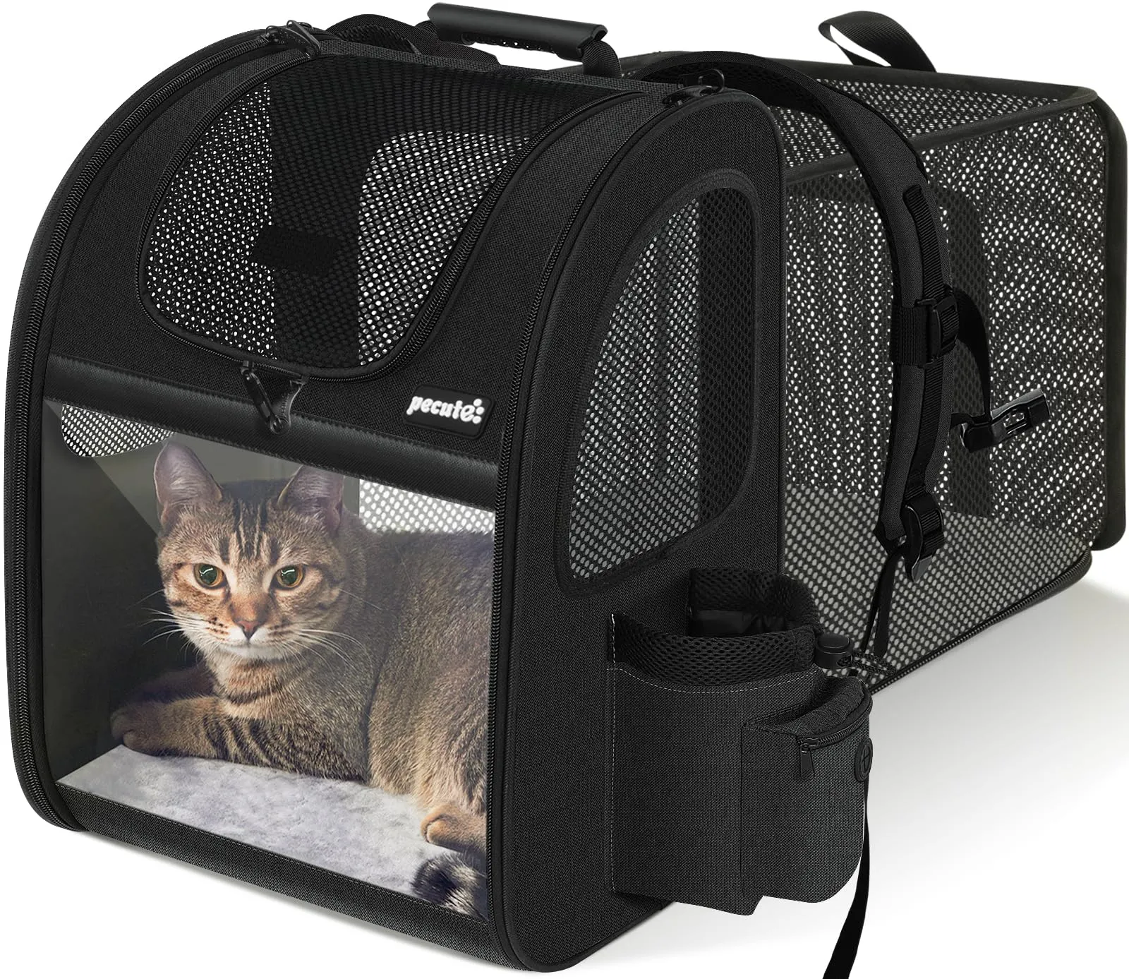Pecute Zaino Porta Animali Estensibile per Cani di Piccola Taglia e Gatti, Trasportino Portatile PC-PCB06 - immagine 1