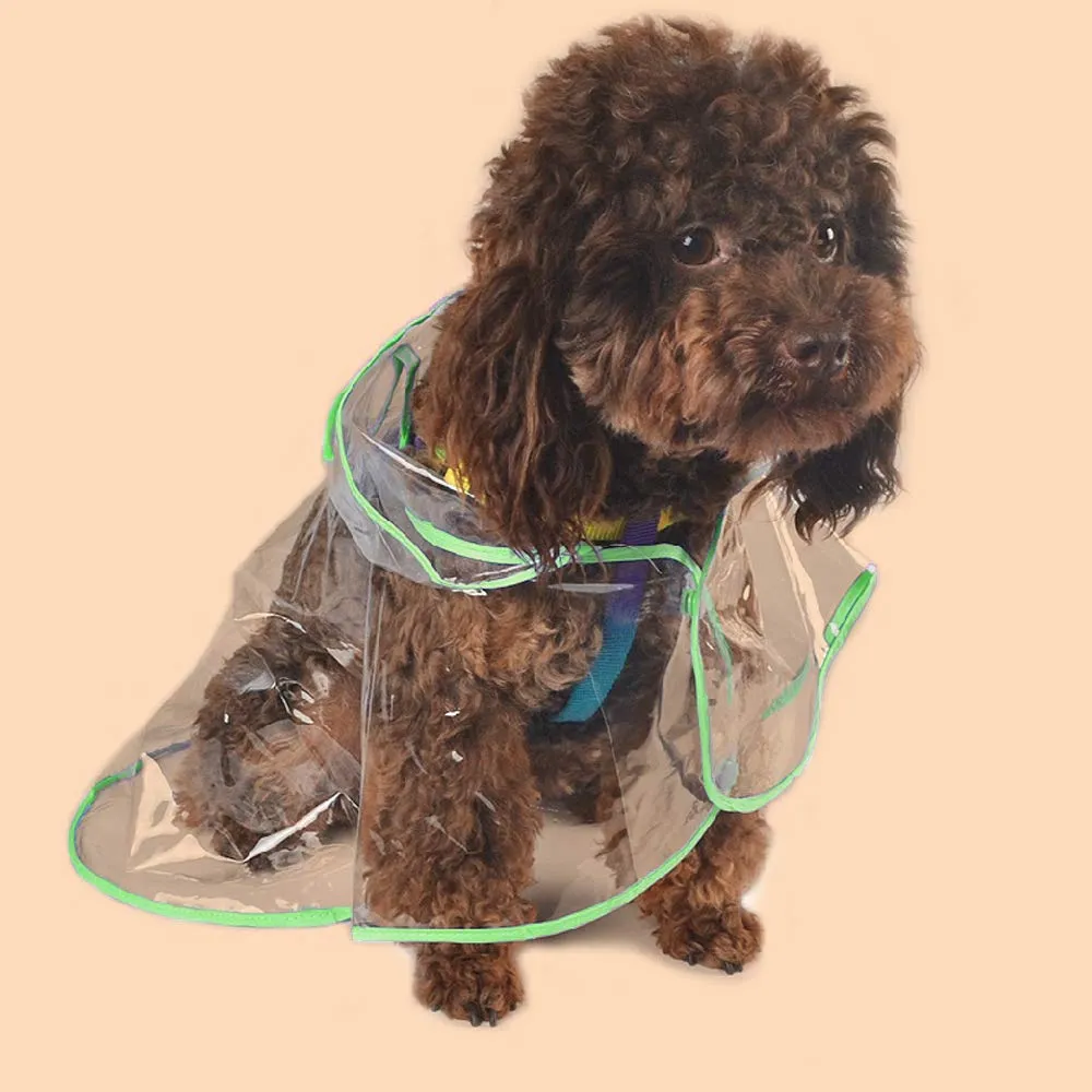 KoKoBin Cappotto Impermeabile per Cani e Gatti in PVC Trasparente con Cappuccio, Verde, S - immagine 5