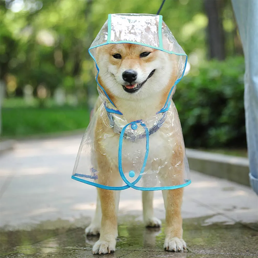 KoKoBin Cappotto Impermeabile per Cani e Gatti in PVC Trasparente con Cappuccio, Blu, M - immagine 2
