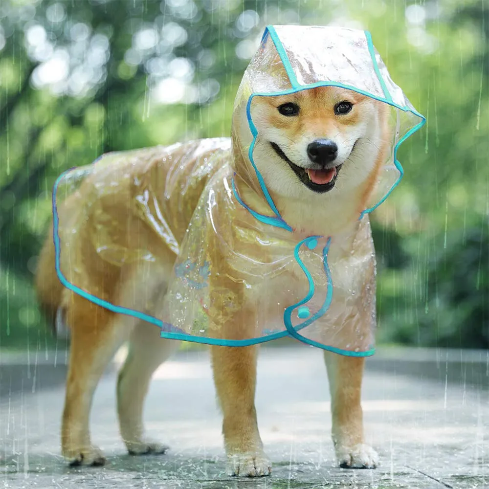 KoKoBin Cappotto Impermeabile per Cani e Gatti con Cappuccio in PVC Trasparente, Blu, L - immagine 1