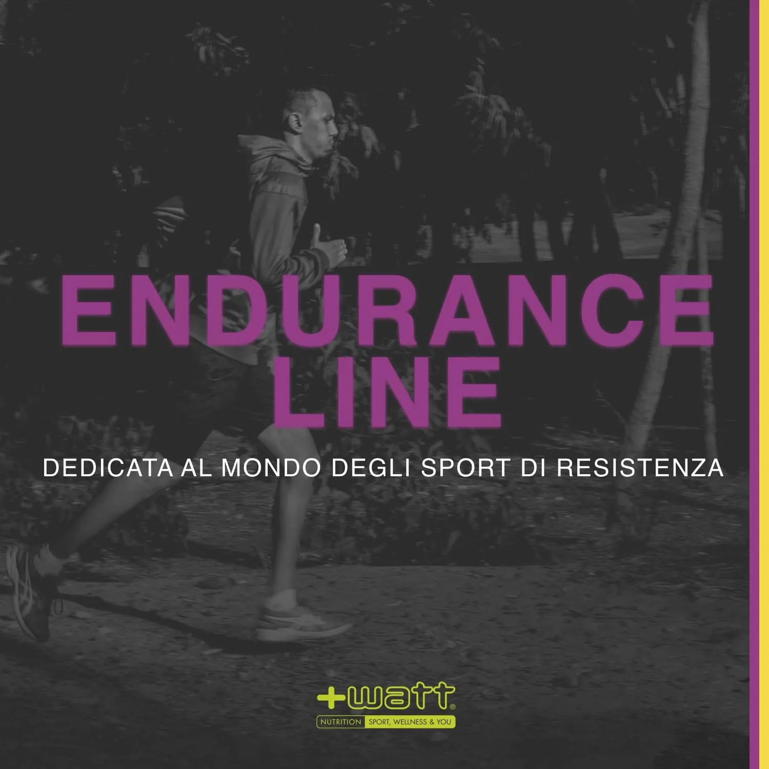 +Watt Sali+ Electrolyte, Soluzione Ipotonica di Carboidrati ed Elettroliti, Gusto Limone, 500 g - immagine 3