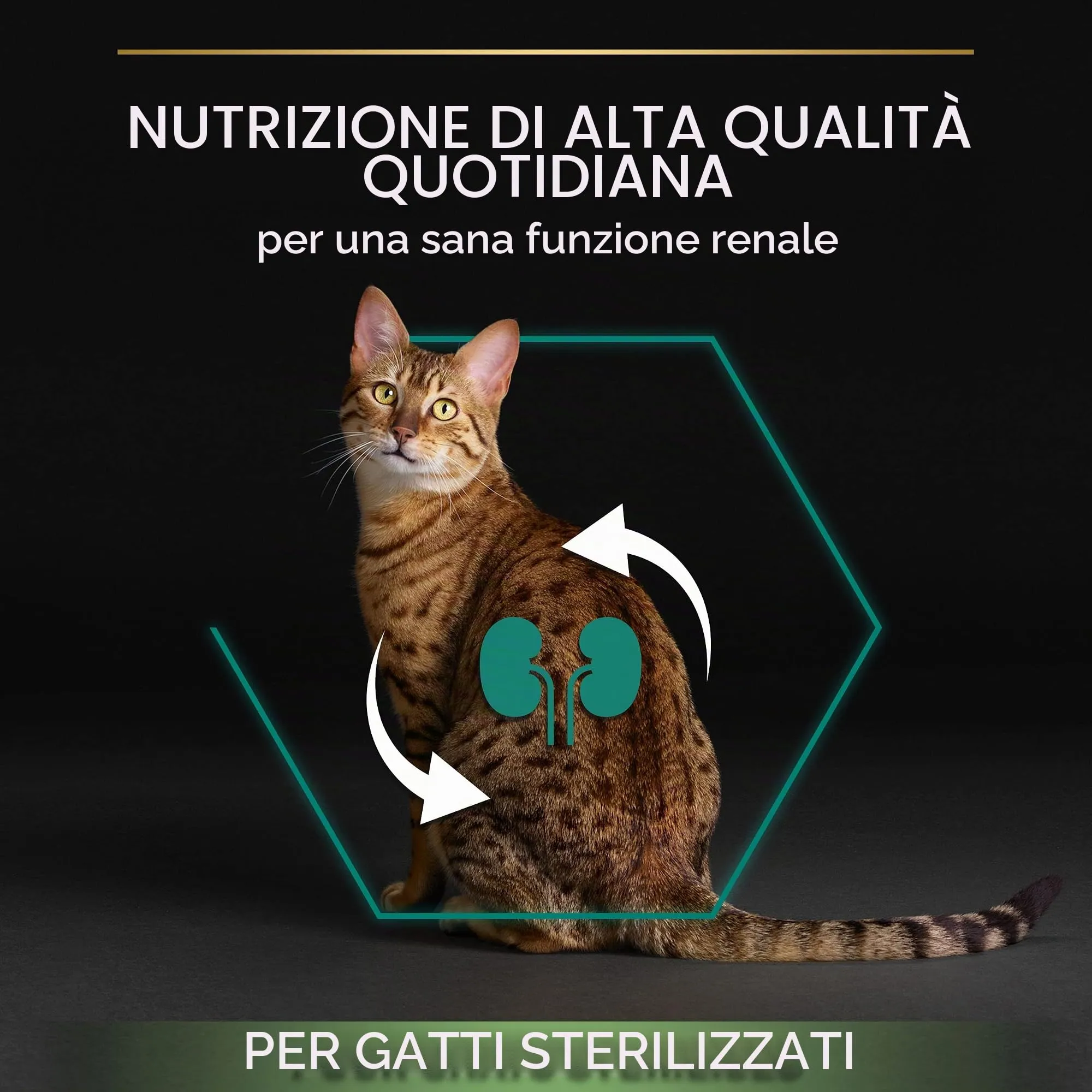 Purina Pro Plan Renal Plus Crocchette per Gatti Sterilizzati al Salmone, 3 kg - immagine 7