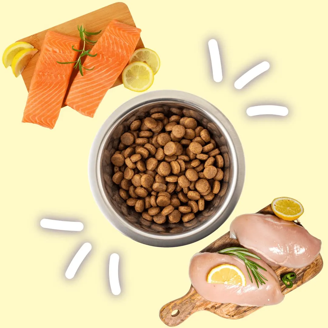 Gatto con Personalità Il Cibo Di Beppo Cibo Secco per Gatti Sterilizzati Grain Free e Senza Glutine Salmone con Pesce Bianco 1.5kg - immagine 8