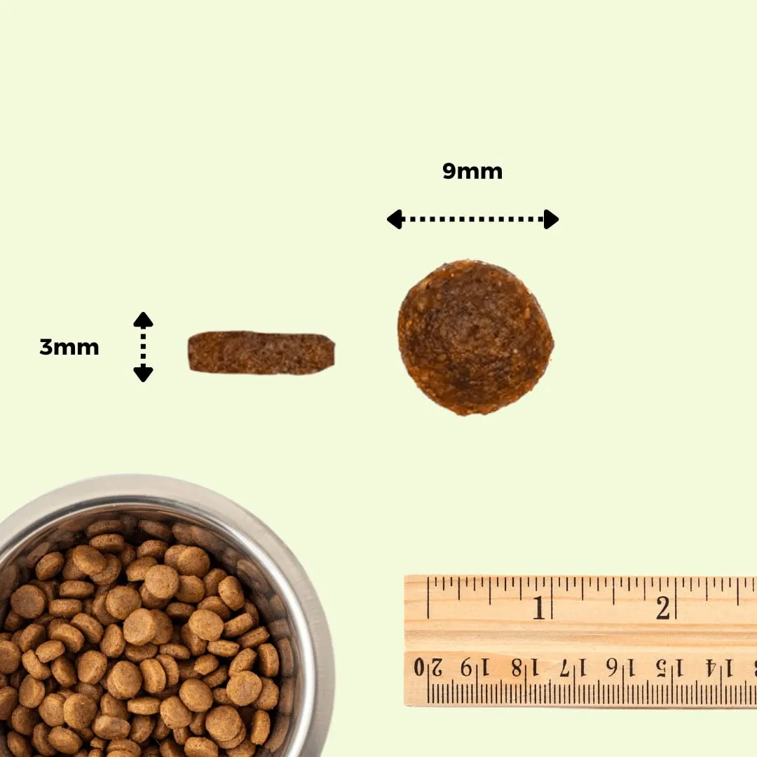 Gatto con Personalità Il Cibo Di Beppo Cibo Secco per Gatti Sterilizzati Grain Free e Senza Glutine Salmone con Pesce Bianco 1.5kg - immagine 9