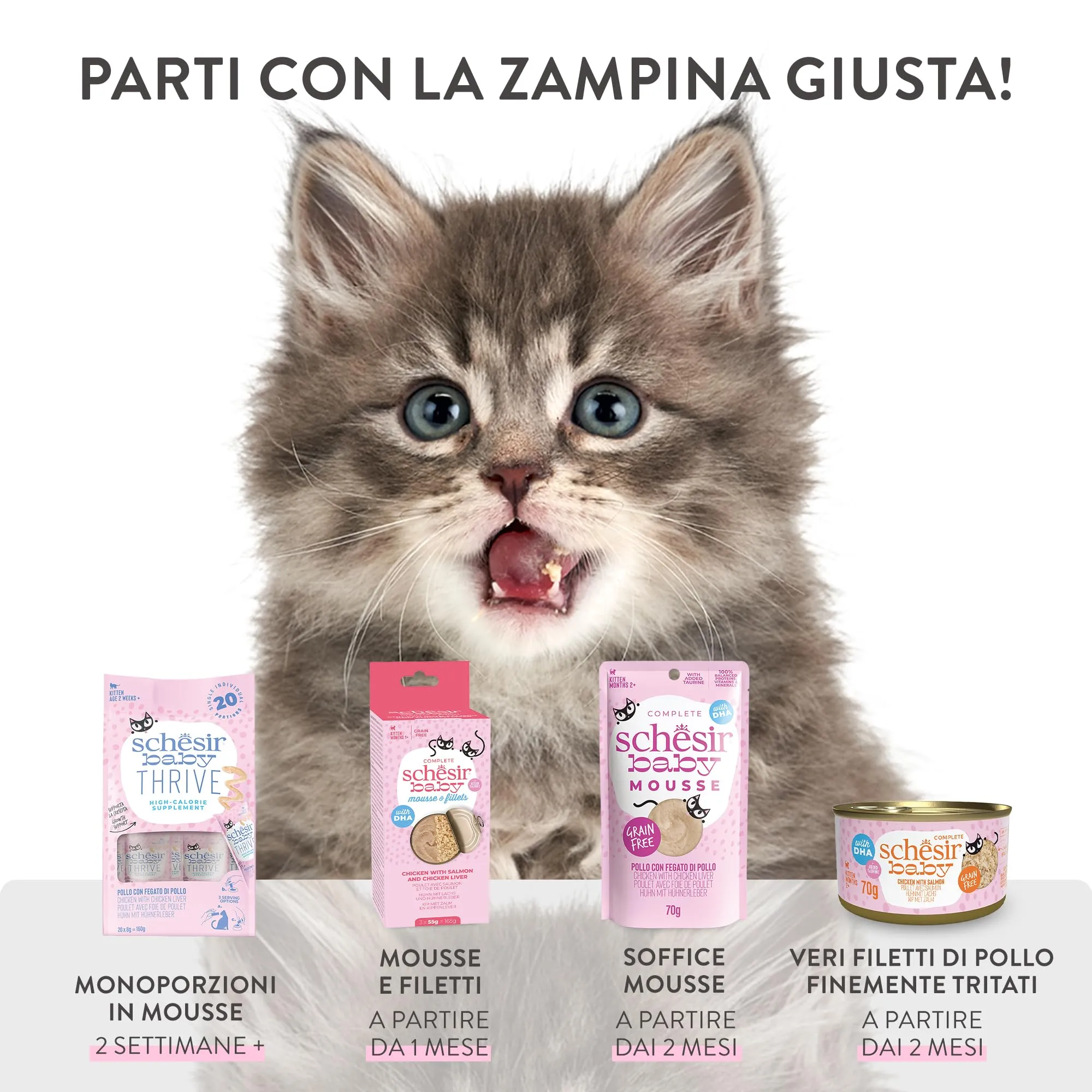 Schesir Baby Filettini di Pollo con Salmone in Mousse Alimento Umido Completo per Gattini Grain Free, 12 x 70 g - immagine 9