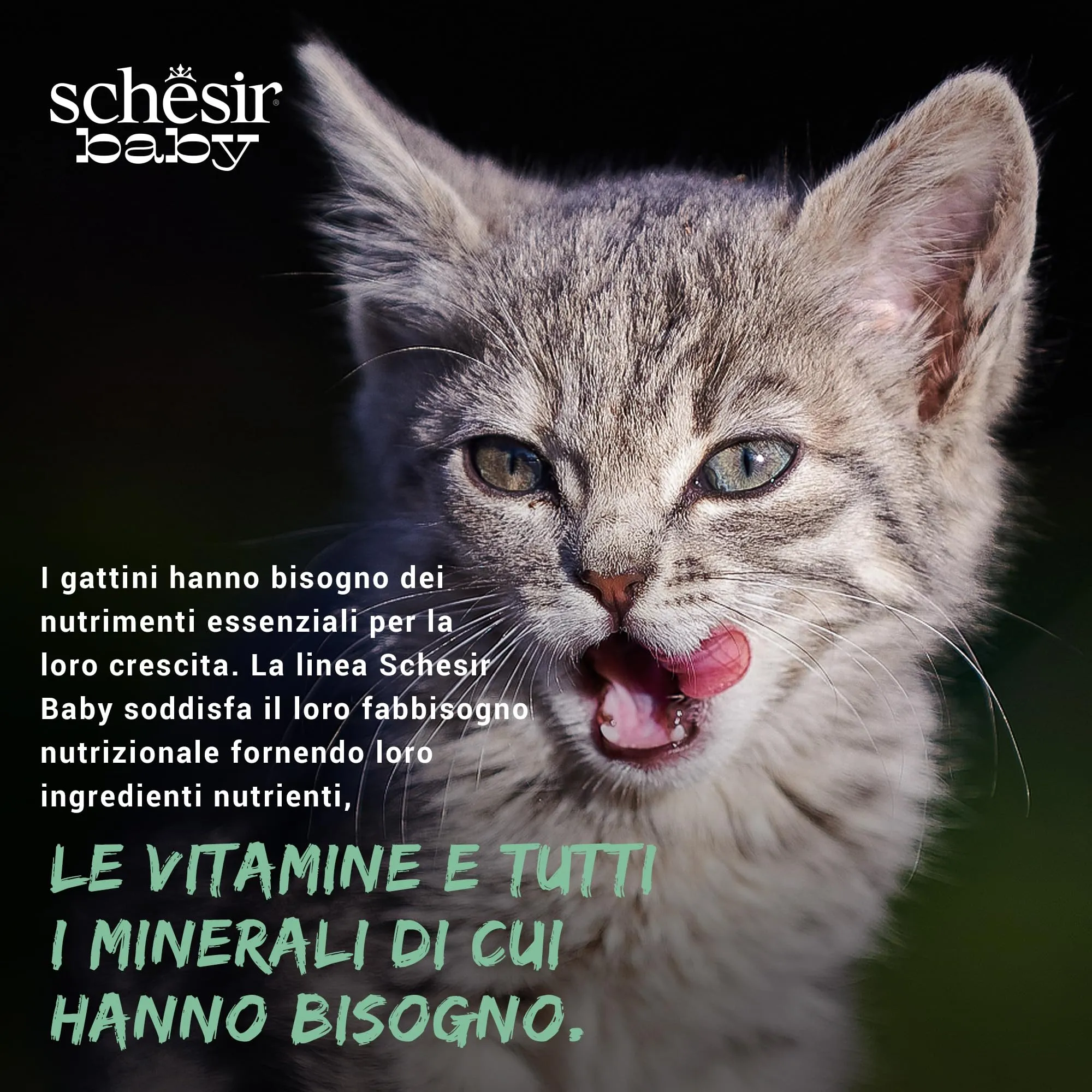 Schesir Baby Filettini di Pollo con Salmone in Mousse Alimento Umido Completo per Gattini Grain Free, 12 x 70 g - immagine 10
