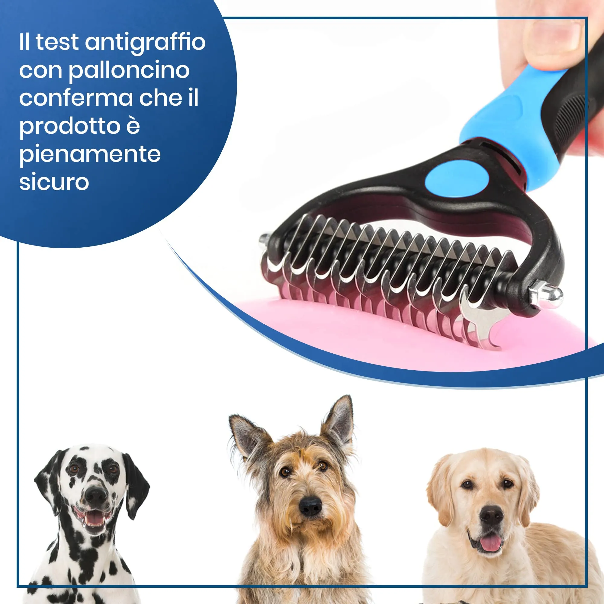 Candure Spazzola per Cani e Gatti in Acciaio Inossidabile, Doppia Faccia per Deshedding e Nodi (Blu) - immagine 5