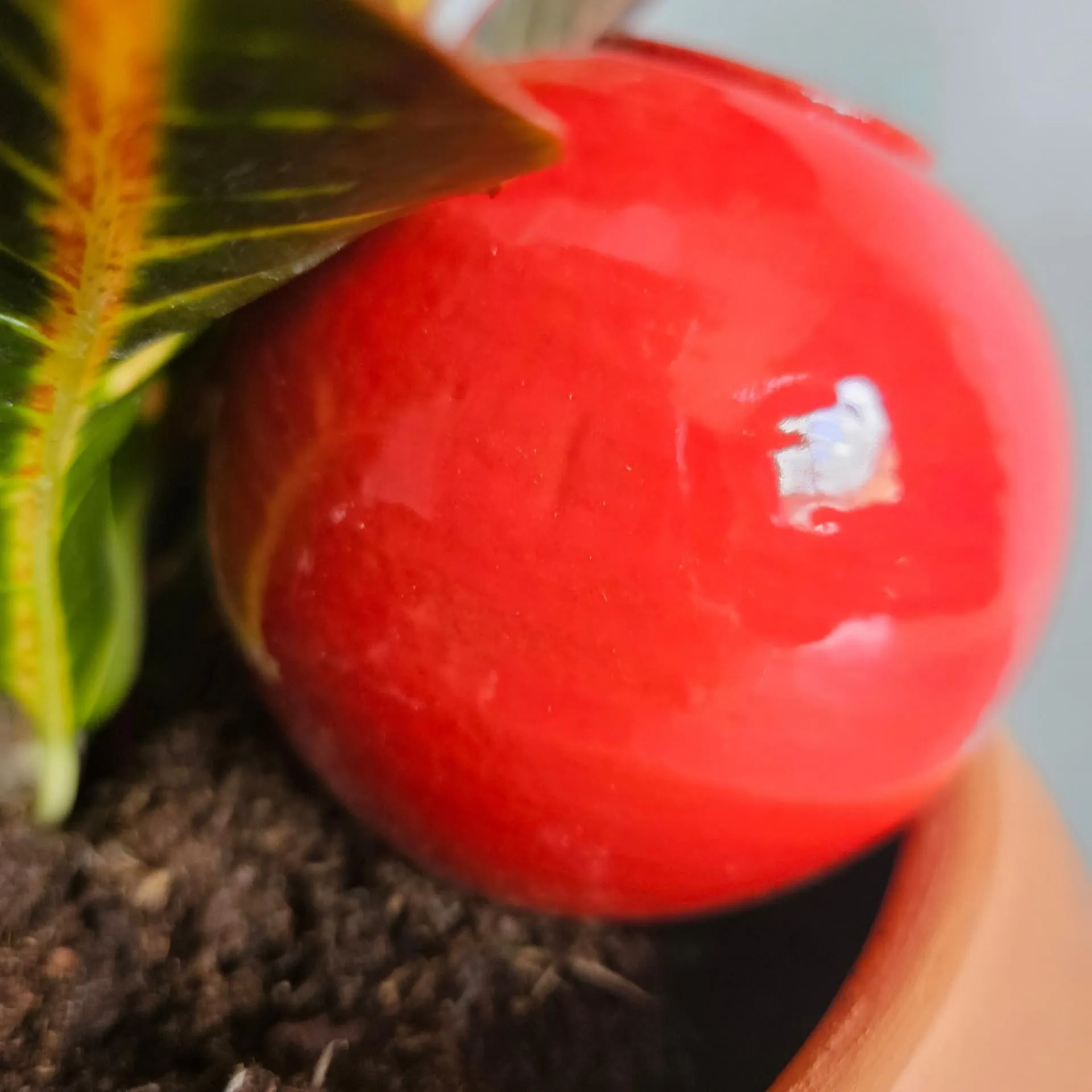 Ollas Lutton Mini Olla Terracotta 25cl Rouge - immagine 7