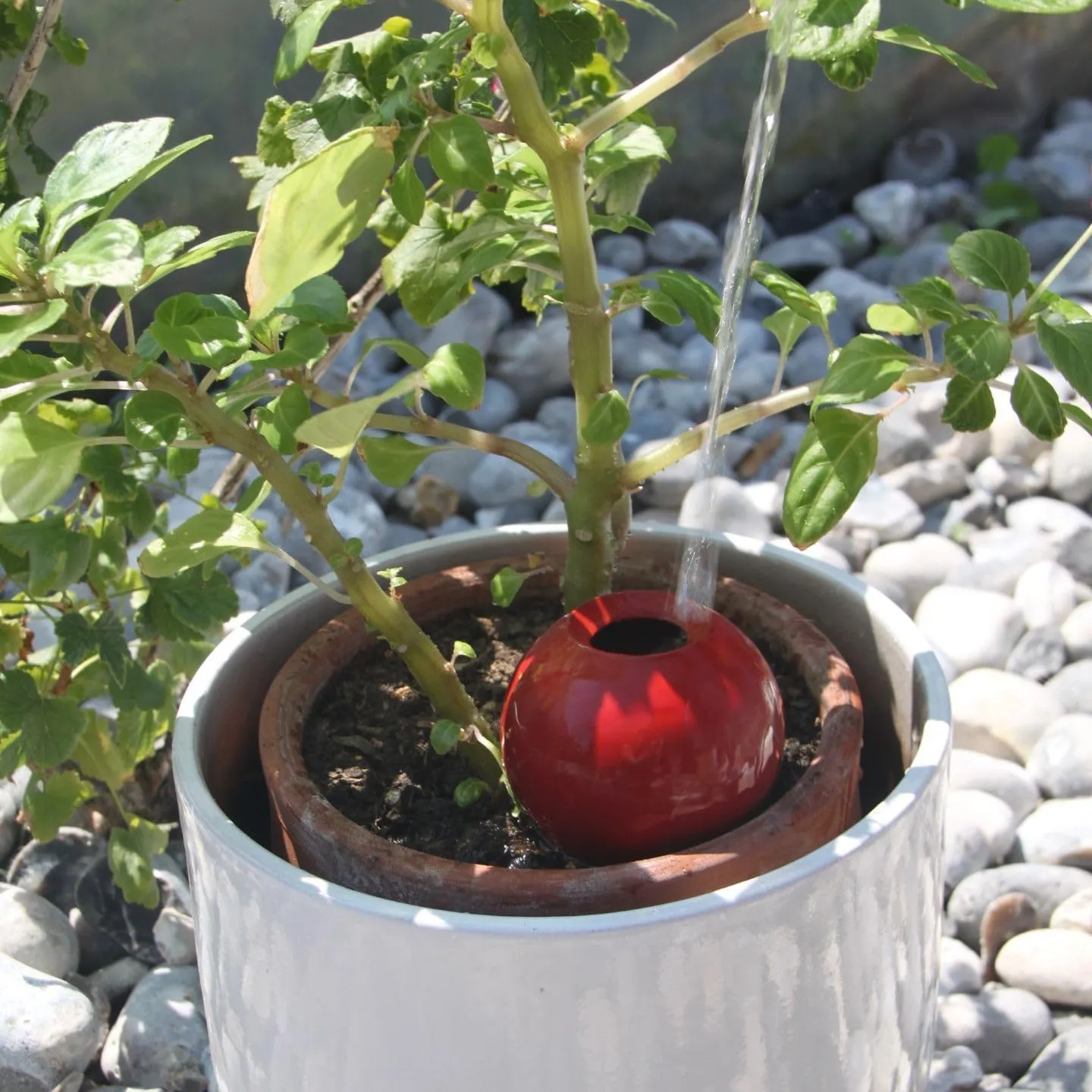 Ollas Lutton Mini Olla Terracotta 25cl Rouge - immagine 9