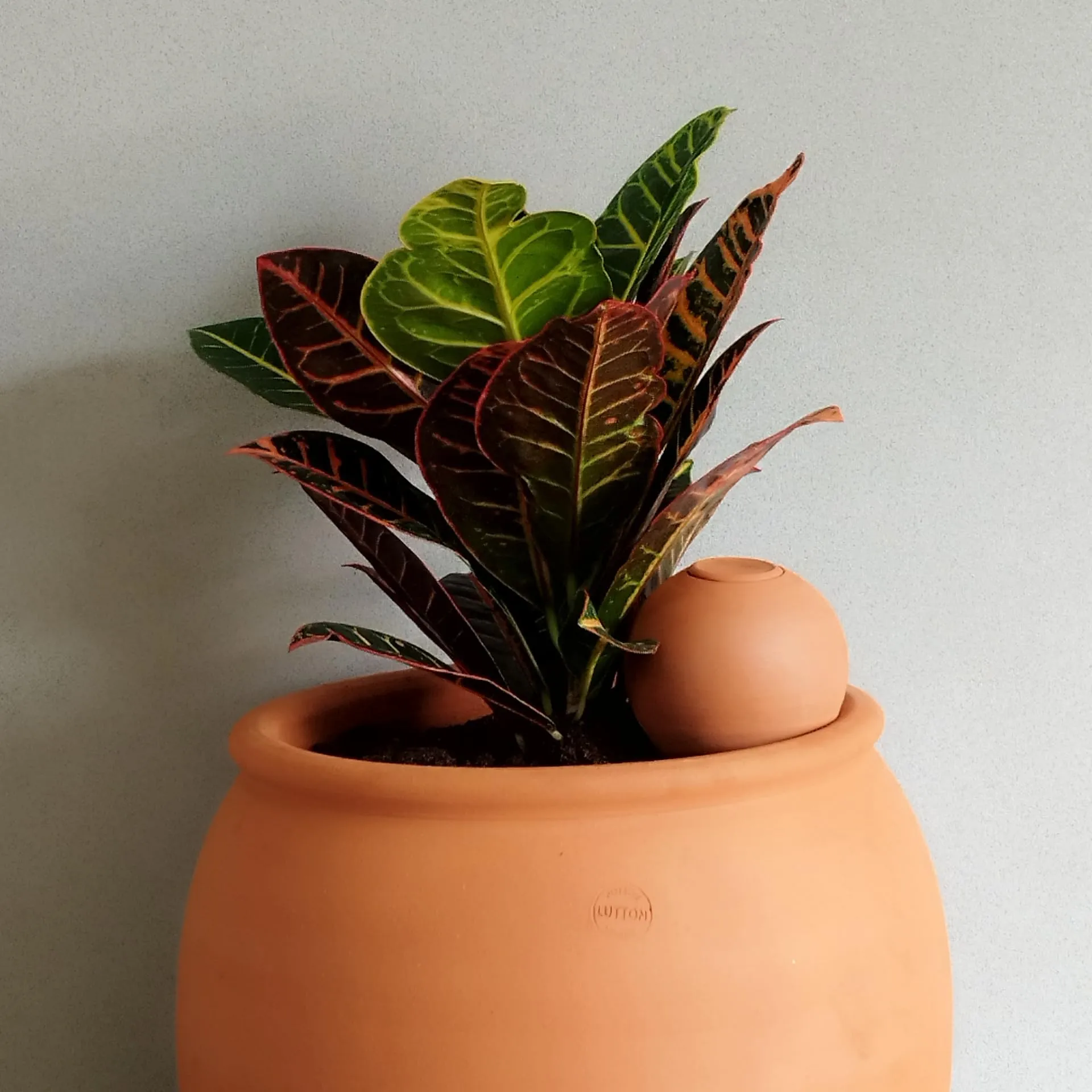 Ollas Lutton Mini Olla Terracotta - immagine 5