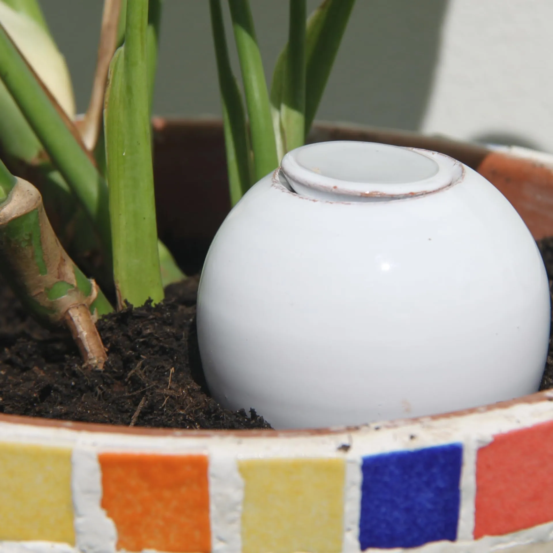 Ollas Lutton Mini Plant Olla, Terracotta Irrigazione per Piante in Vaso, 0,44 pt, Bianco - immagine 5