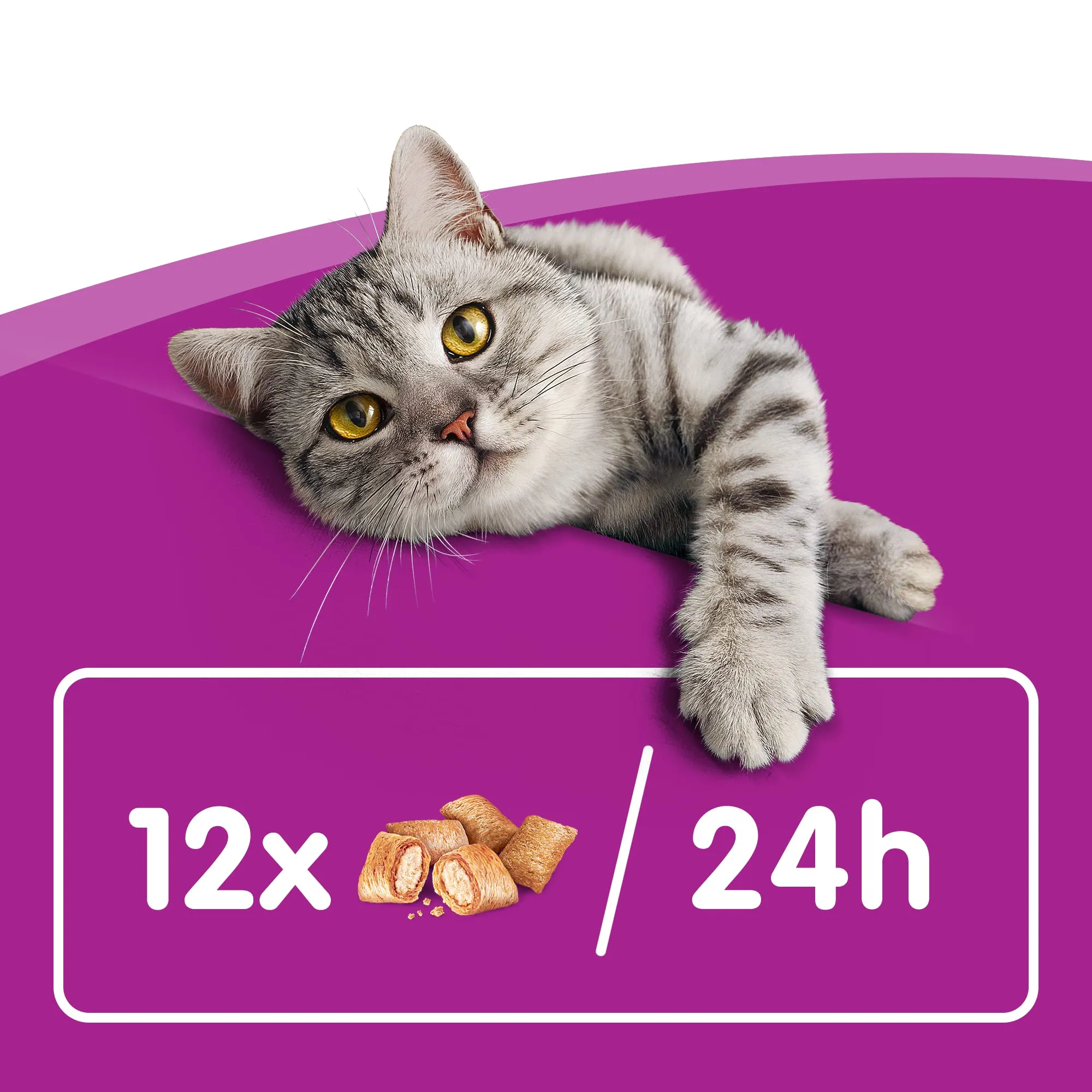 Whiskas Temptations Snack per Gatto con Pollo e Formaggio, 60 g, 8 Vaschette - immagine 5