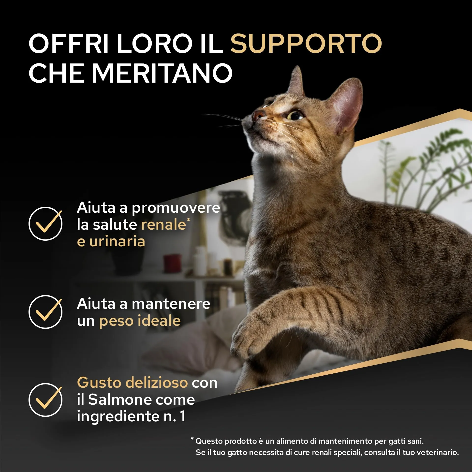 Purina Pro Plan Renal Plus Crocchette per Gatti Sterilizzati al Salmone, 10 kg - immagine 2