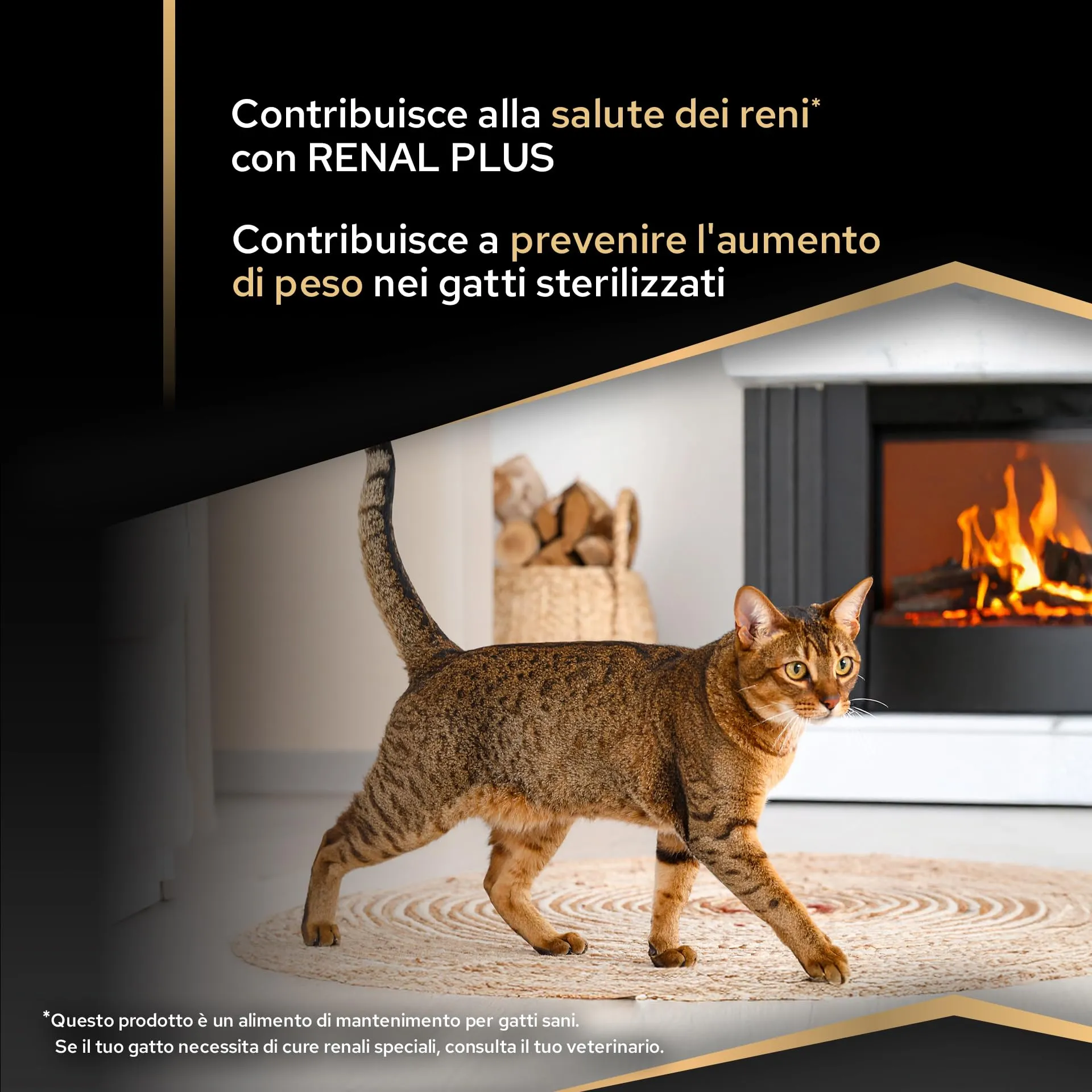 Purina Pro Plan Renal Plus Crocchette per Gatti Sterilizzati al Salmone, 10 kg - immagine 4