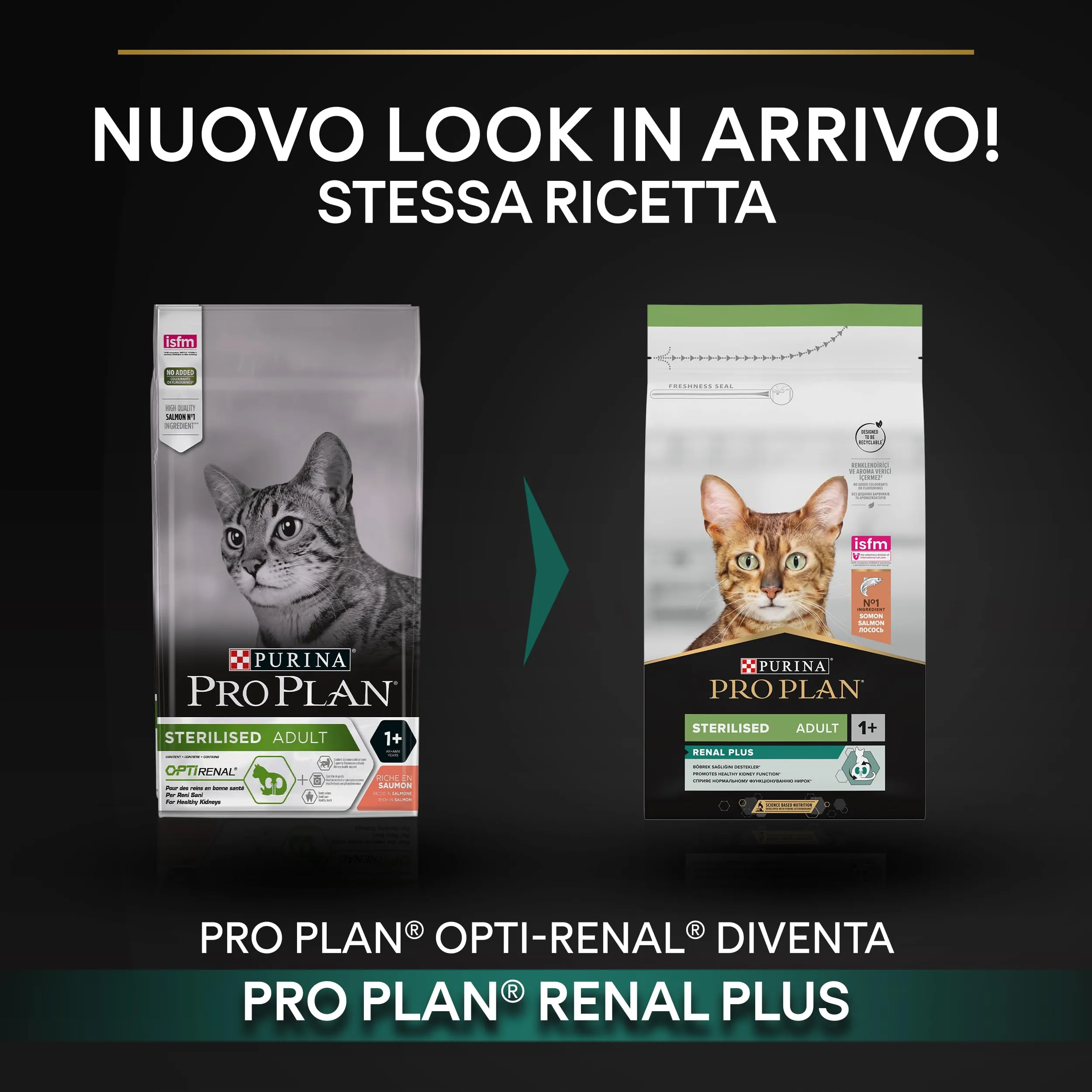 Purina Pro Plan Sterilised Renal Plus Crocchette Gatti Adulti al Salmone, 6 x 1,5 kg - immagine 2