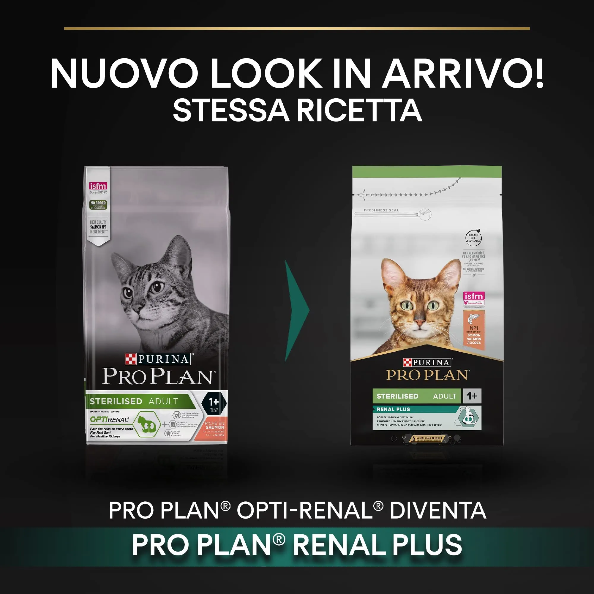 Purina Pro Plan Sterilised Renal Plus Crocchette Gatti Adulti al Salmone, 6 x 1,5 kg - immagine 4