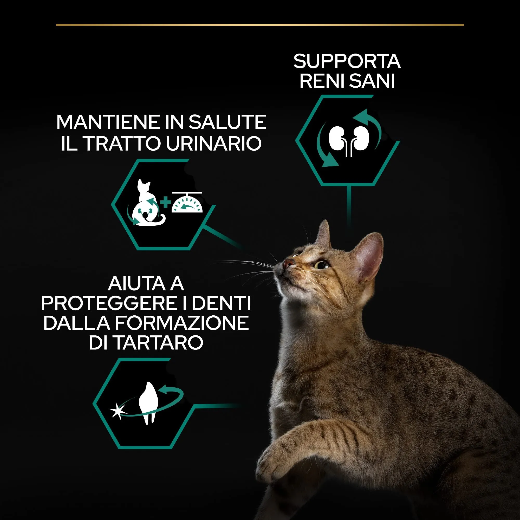 Purina Pro Plan Sterilised Renal Plus Crocchette Gatti Adulti al Salmone, 6 x 1,5 kg - immagine 8