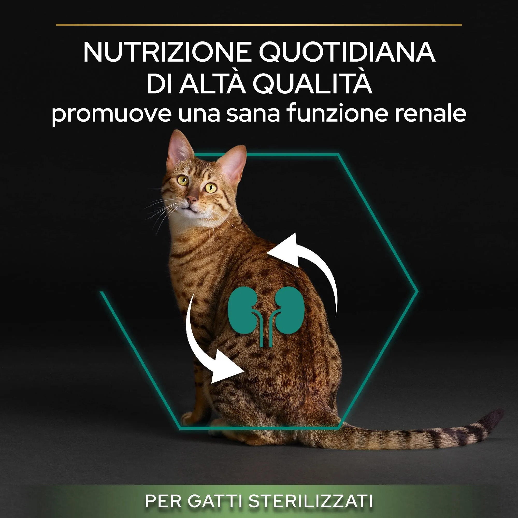 Purina Pro Plan Sterilised Renal Plus Crocchette Gatti Adulti al Salmone, 6 x 1,5 kg - immagine 9