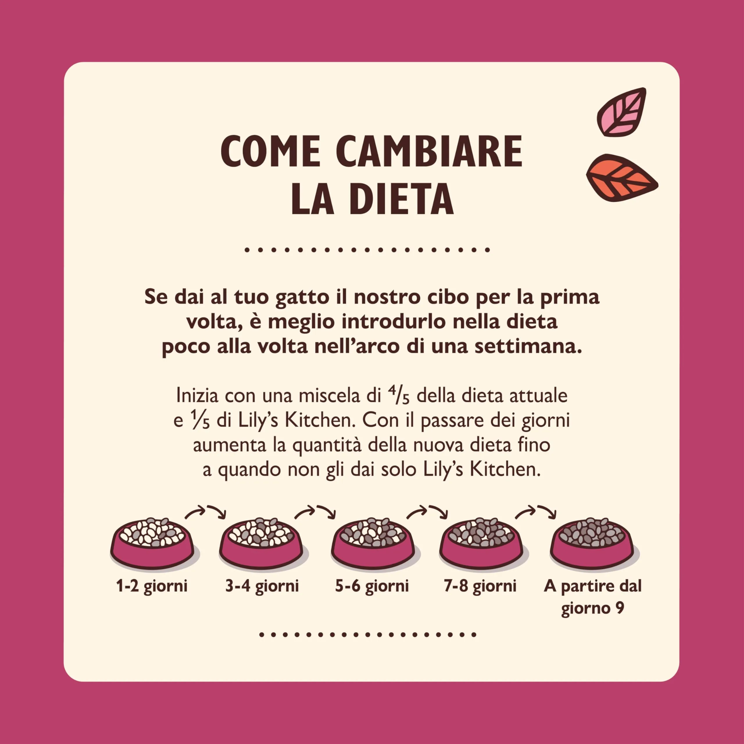 Lily's Kitchen Lovely Lamb Casserole Agnello Cibo Umido per Gatti (19 x 85g) - immagine 7