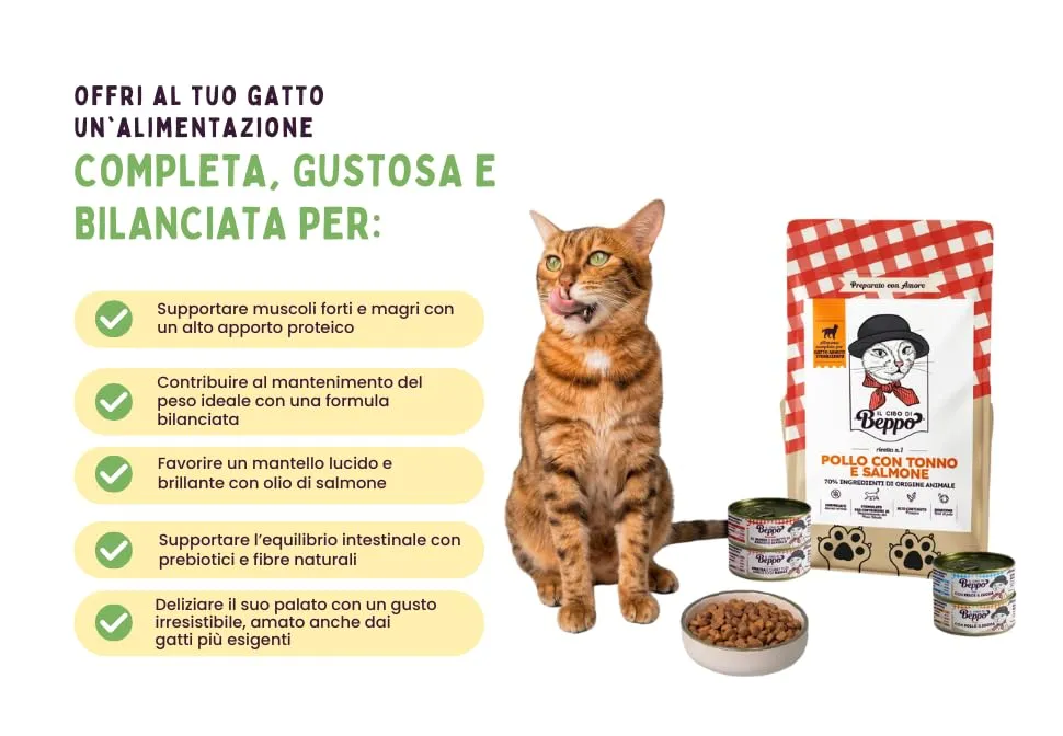 Il Cibo Di Beppo Cibo Secco per Gatti Sterilizzati Grain Free e Senza Glutine Pollo con Tonno e Salmone, 1.5kg - immagine 6
