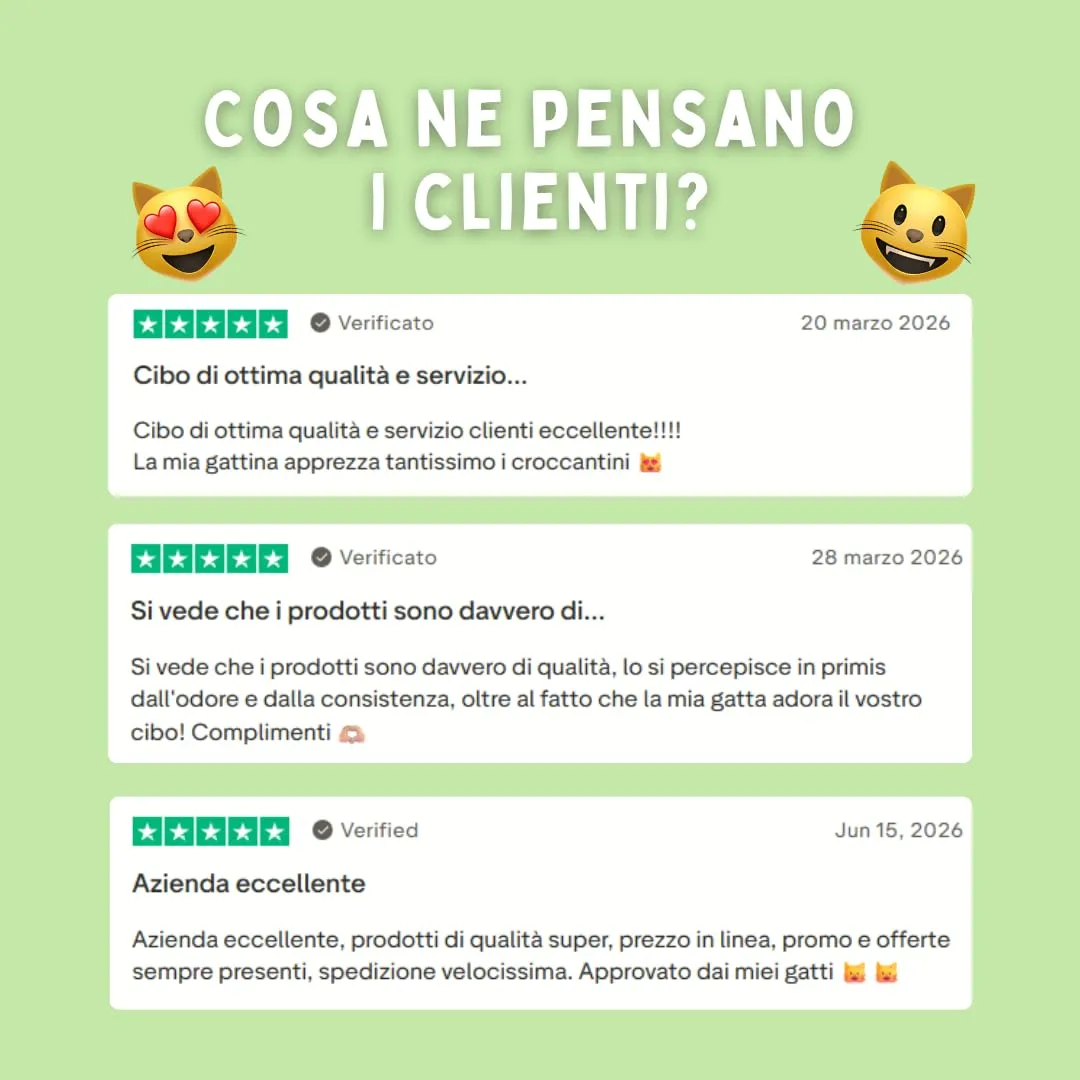 Gatto con Personalità Il Cibo Di Beppo Cibo Secco per Gatti Sterilizzati Senza Cereali e Glutine Pollo con Tonno e Salmone 5kg - immagine 7