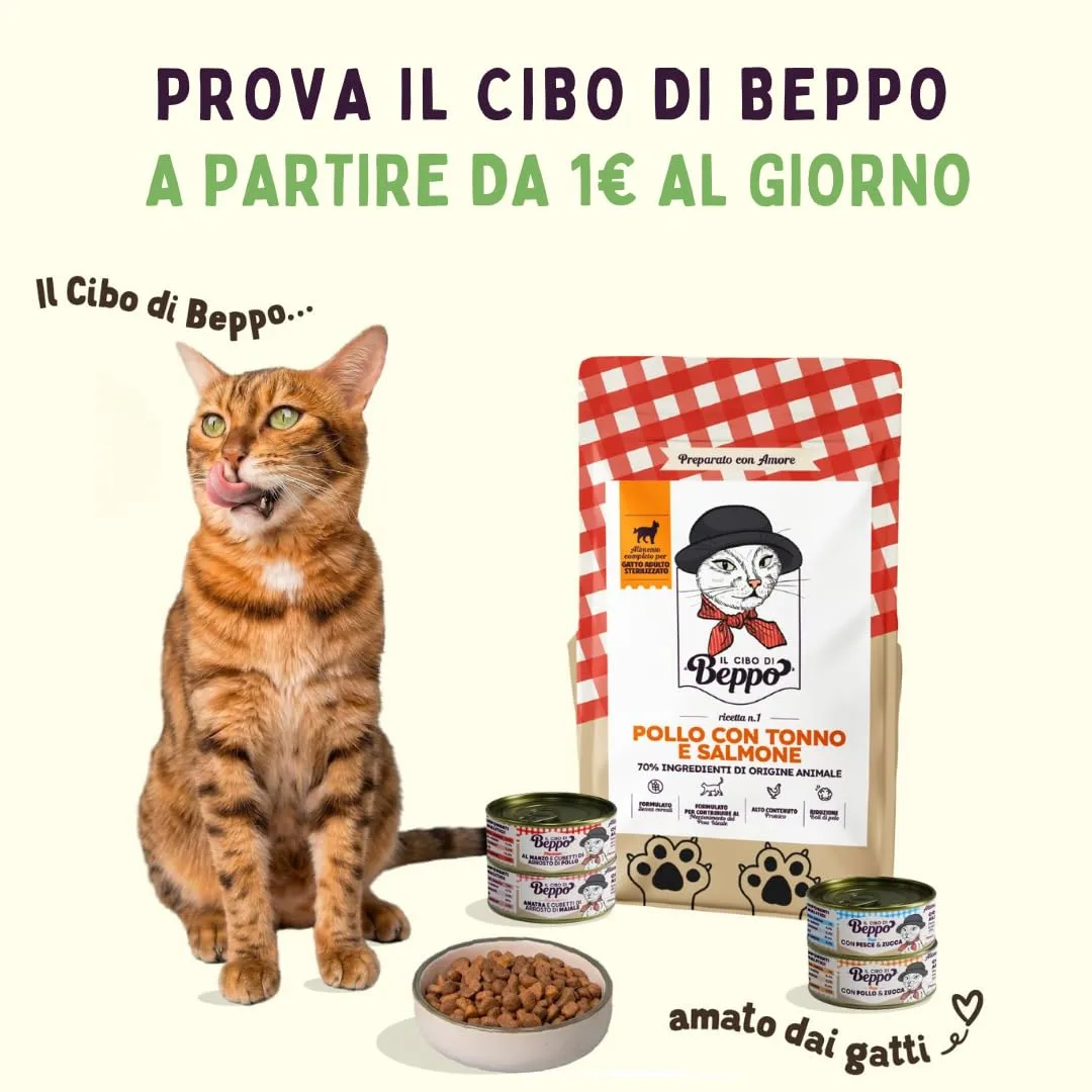 Il Cibo Di Beppo Cibo Secco per Gatti Sterilizzati Senza Cereali Ipoallergeniche Pesce Bianco con Caviale 1.5Kg - immagine 9